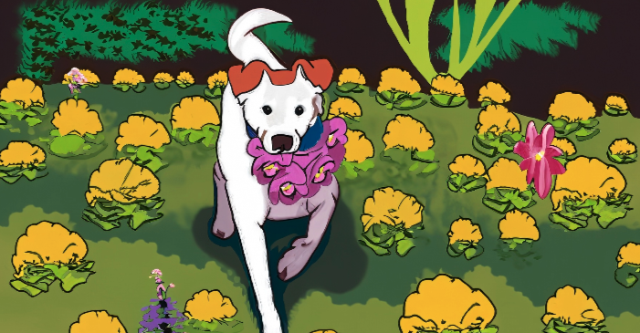 タイプ：グラフィック