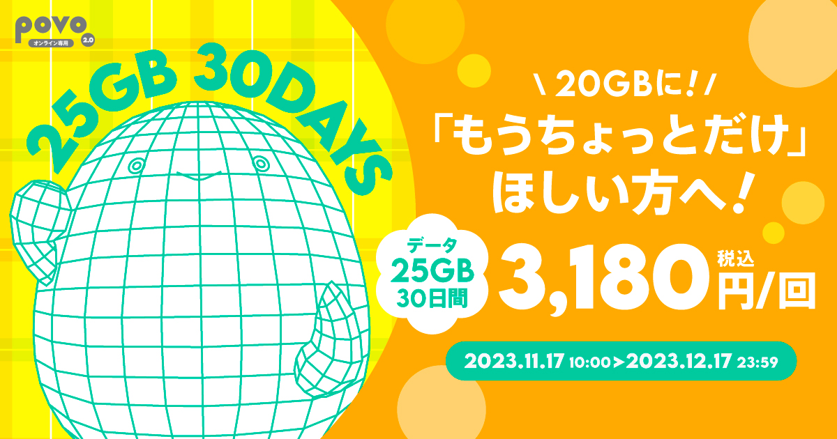 データ追加25GB（30日間）、3180円