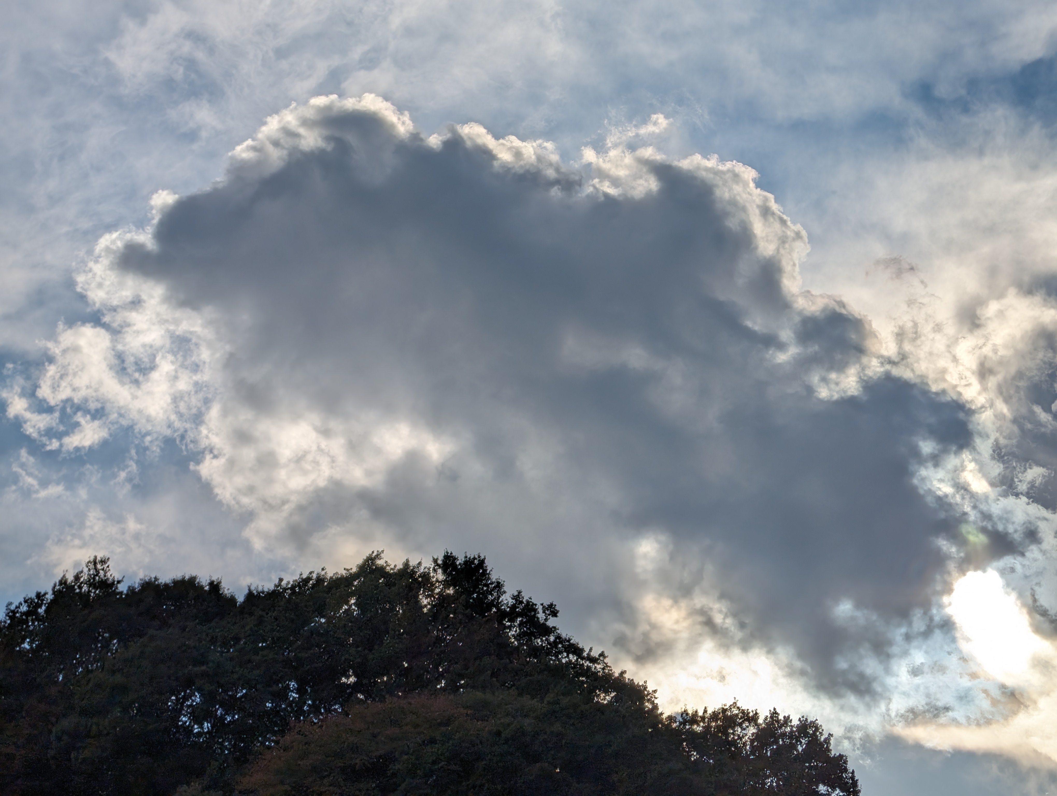 日没前の雲。コントラスト差がある被写体だったが、階調もなかなかよく出ていて、複雑な雲の細部もきめ細かく描写されている。