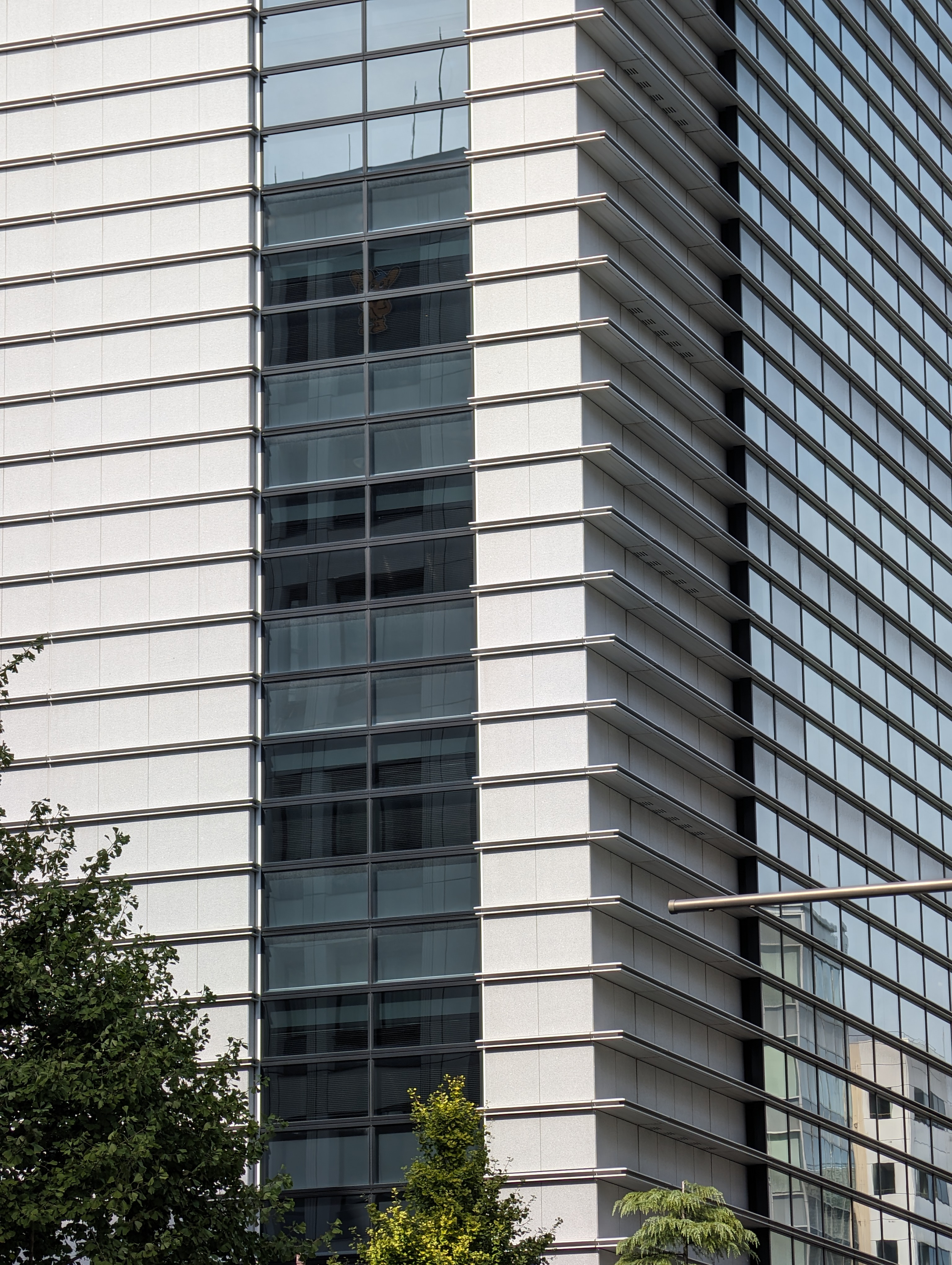 「Pixel 8 Pro」の望遠カメラで撮影。標準の5倍相当の望遠で撮影されている