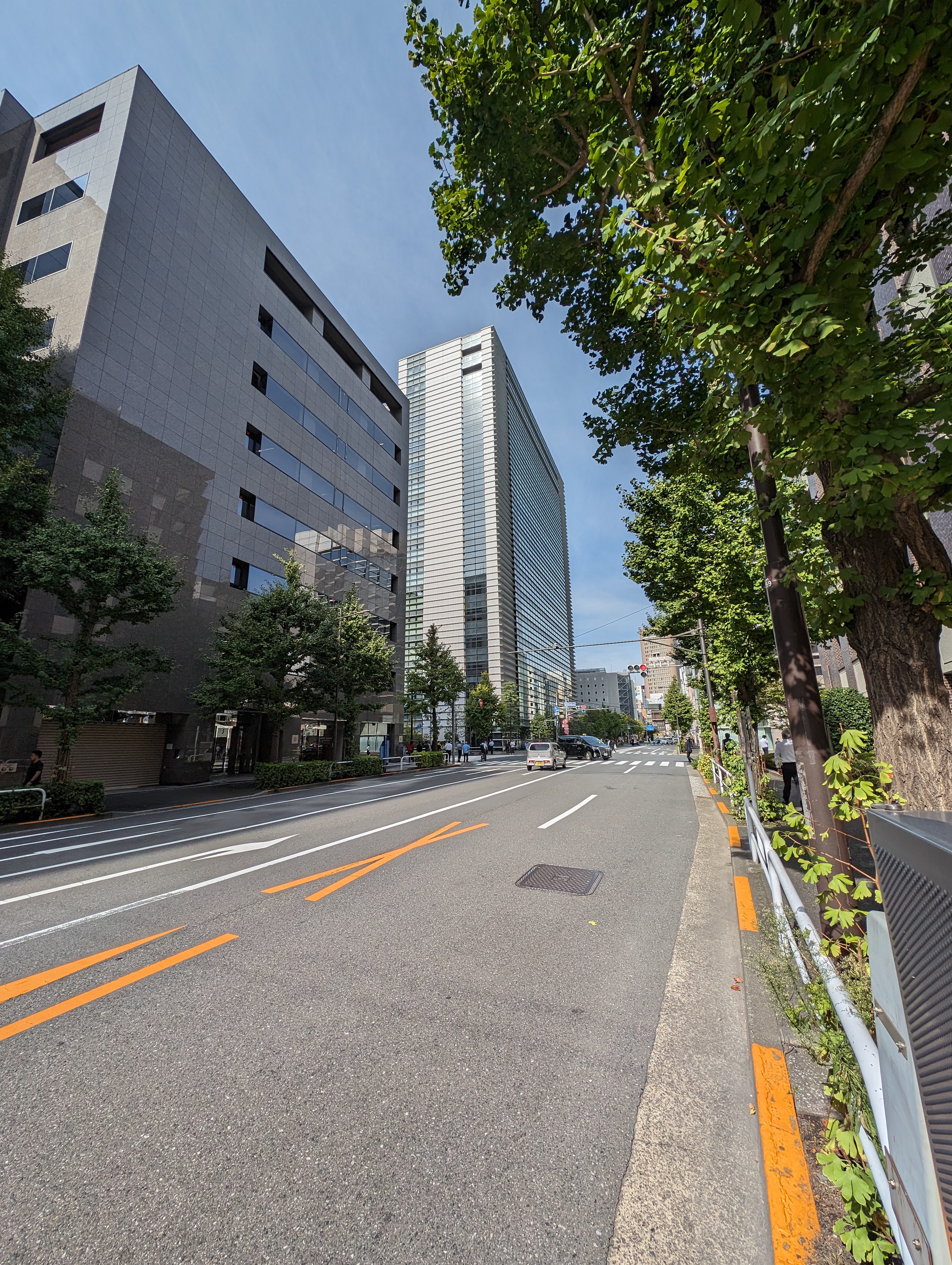 「Pixel 8 Pro」の超広角カメラで撮影。広角カメラの0.5倍相