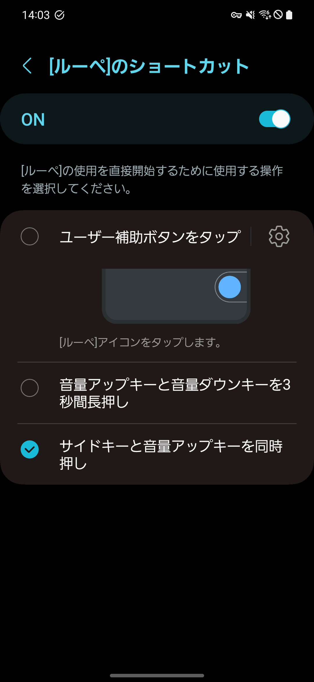 本体設定画面からは、ルーペのショートカットを登録可能。物理ボタンの同時長押しも割り当てられます