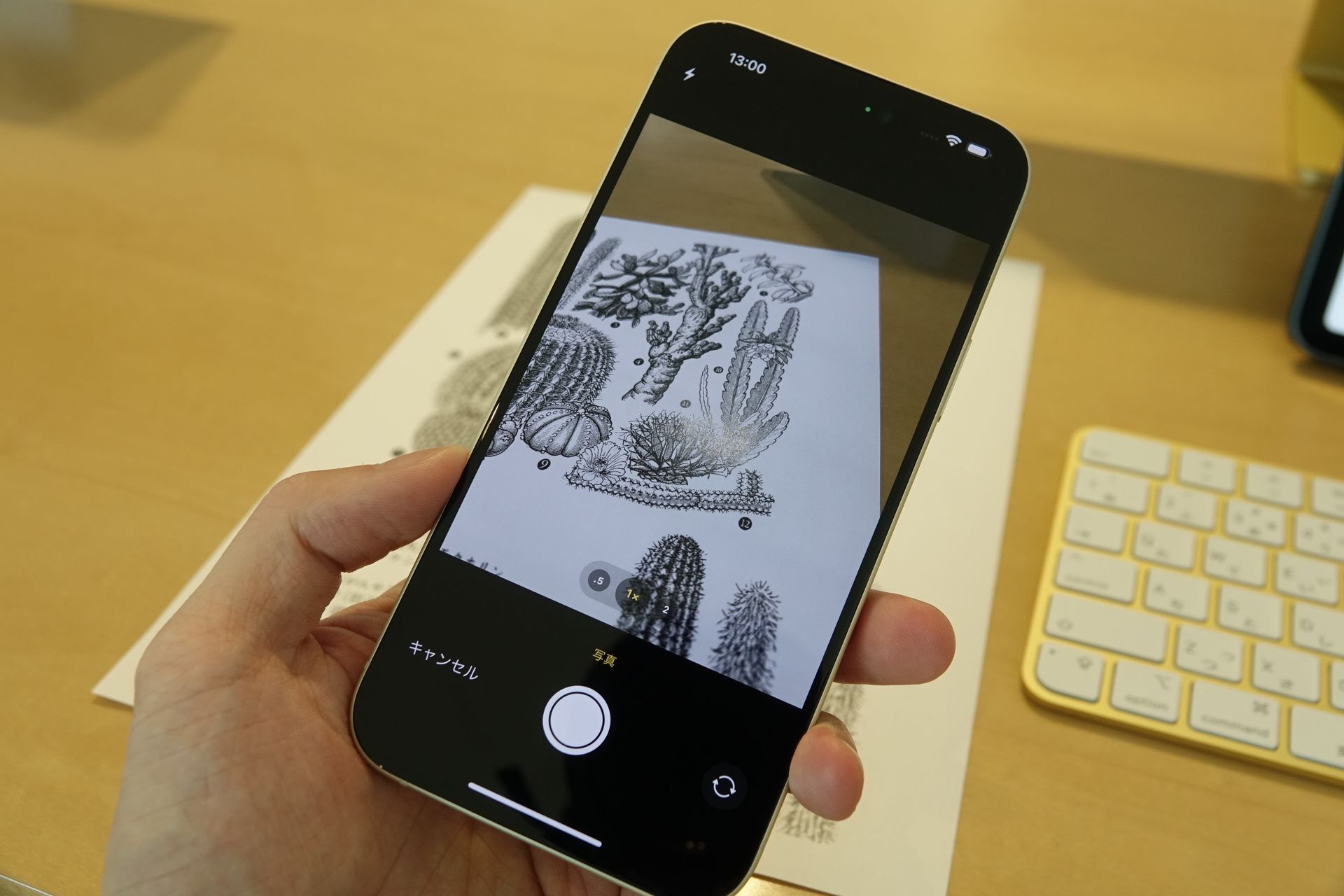 書類のテキストデータをコピーするだけでなく、iPhoneで撮った写真をコピーし、Mac上のユニバーサルクリップボードにペーストすることもできる