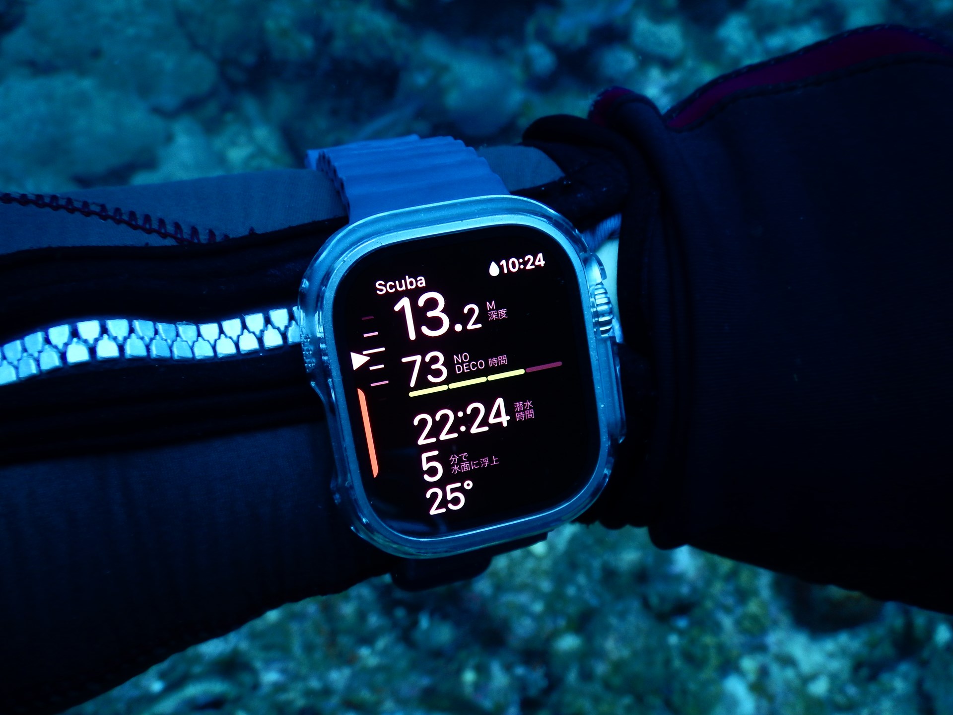 海の中でも明るく視認性が高い「Apple Watch Ultra」のダイコン機能