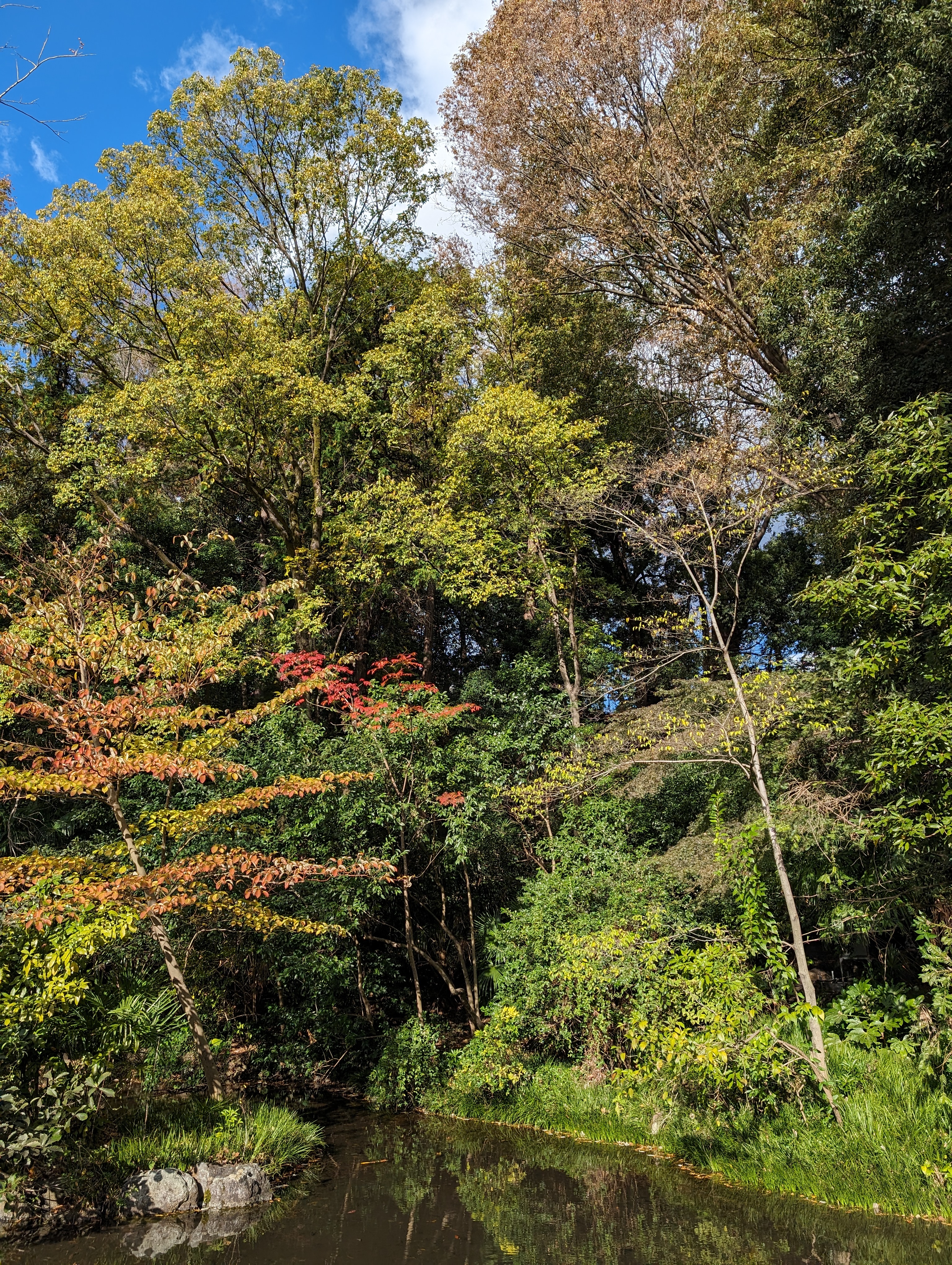 「Pixel 8 Pro」約1200万画素