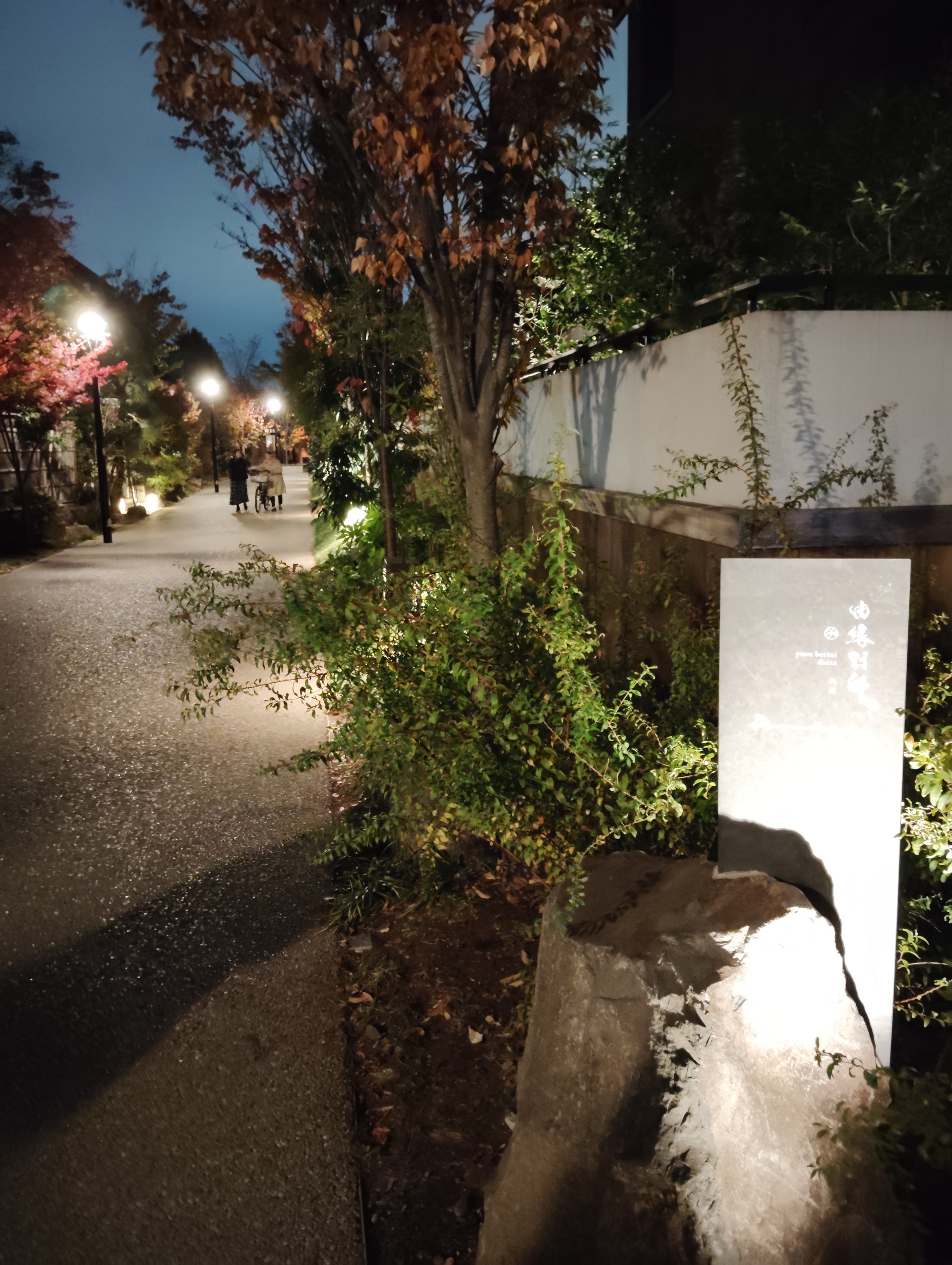 同じく夜景モードで撮影したが、光源が強いと、やや対象が白飛びしてしまう