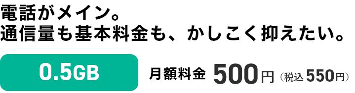 irumoの特徴的な0.5GBプラン。4Gでの利用で最大通信速度も3Mbpsだがワンコインプランだ