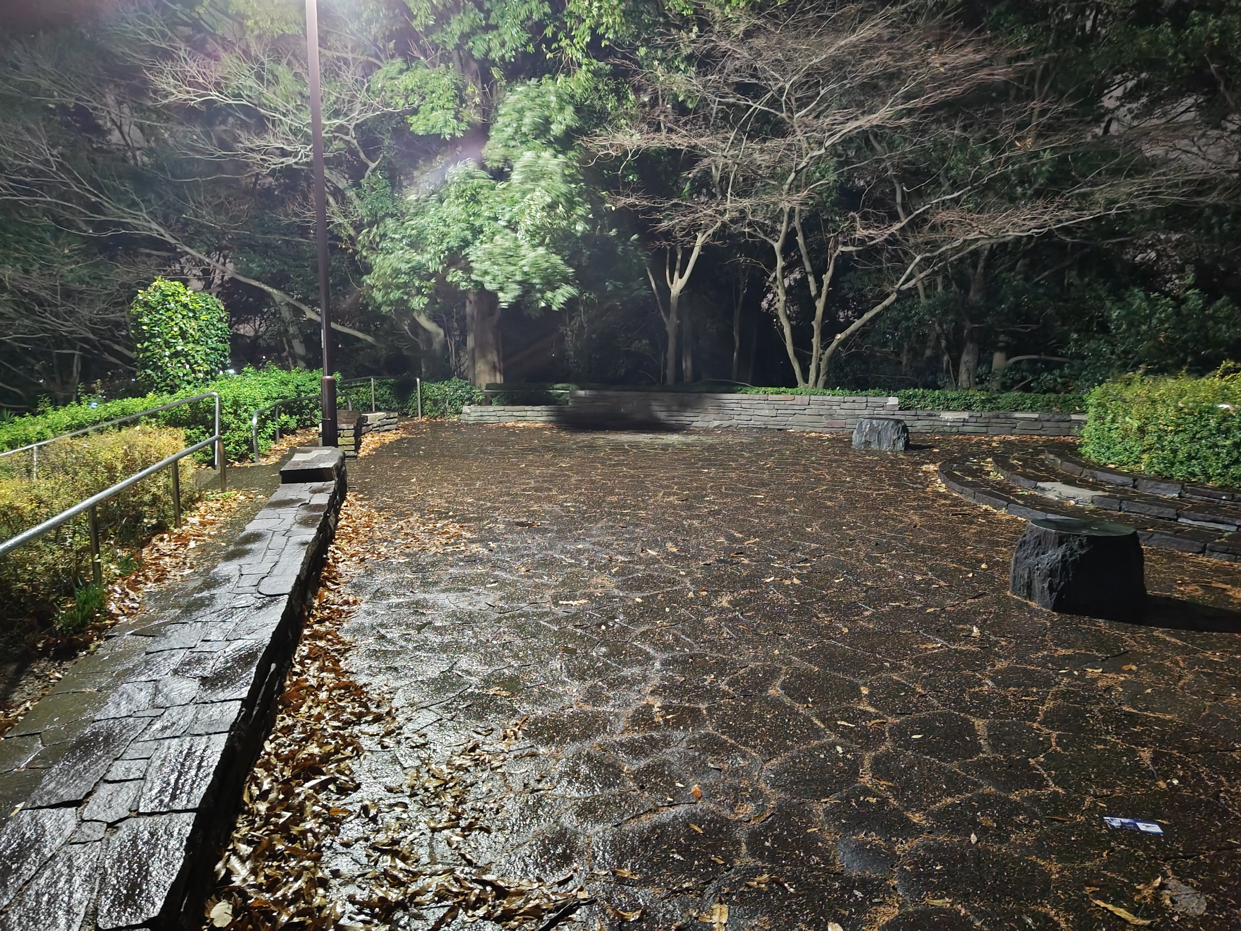 AQUOS R8 proで撮影。やっぱりめちゃくちゃ明るく撮れる