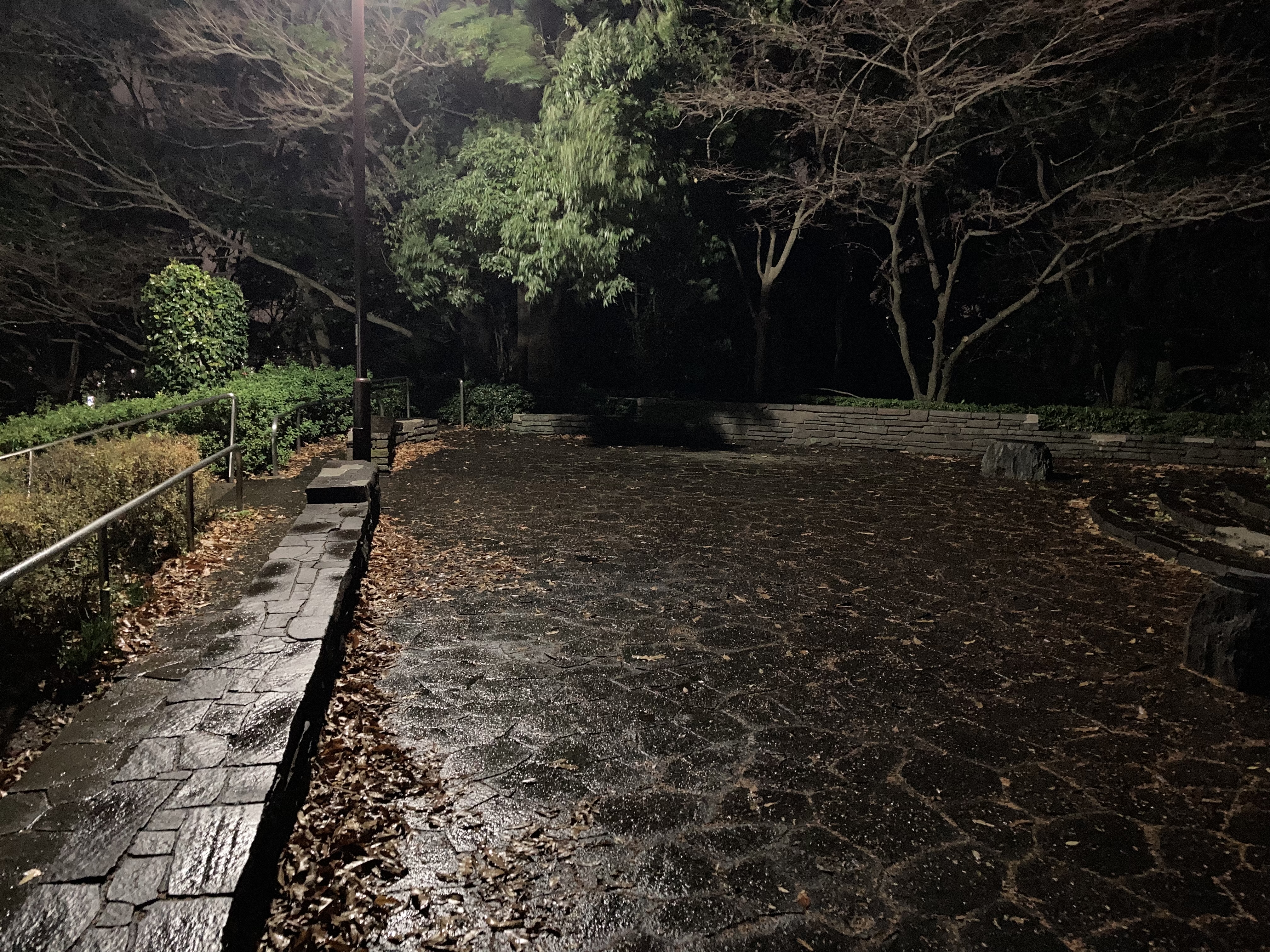 iPhone SE（第2世代）で撮影。目で見ている景色に近いのはこちら