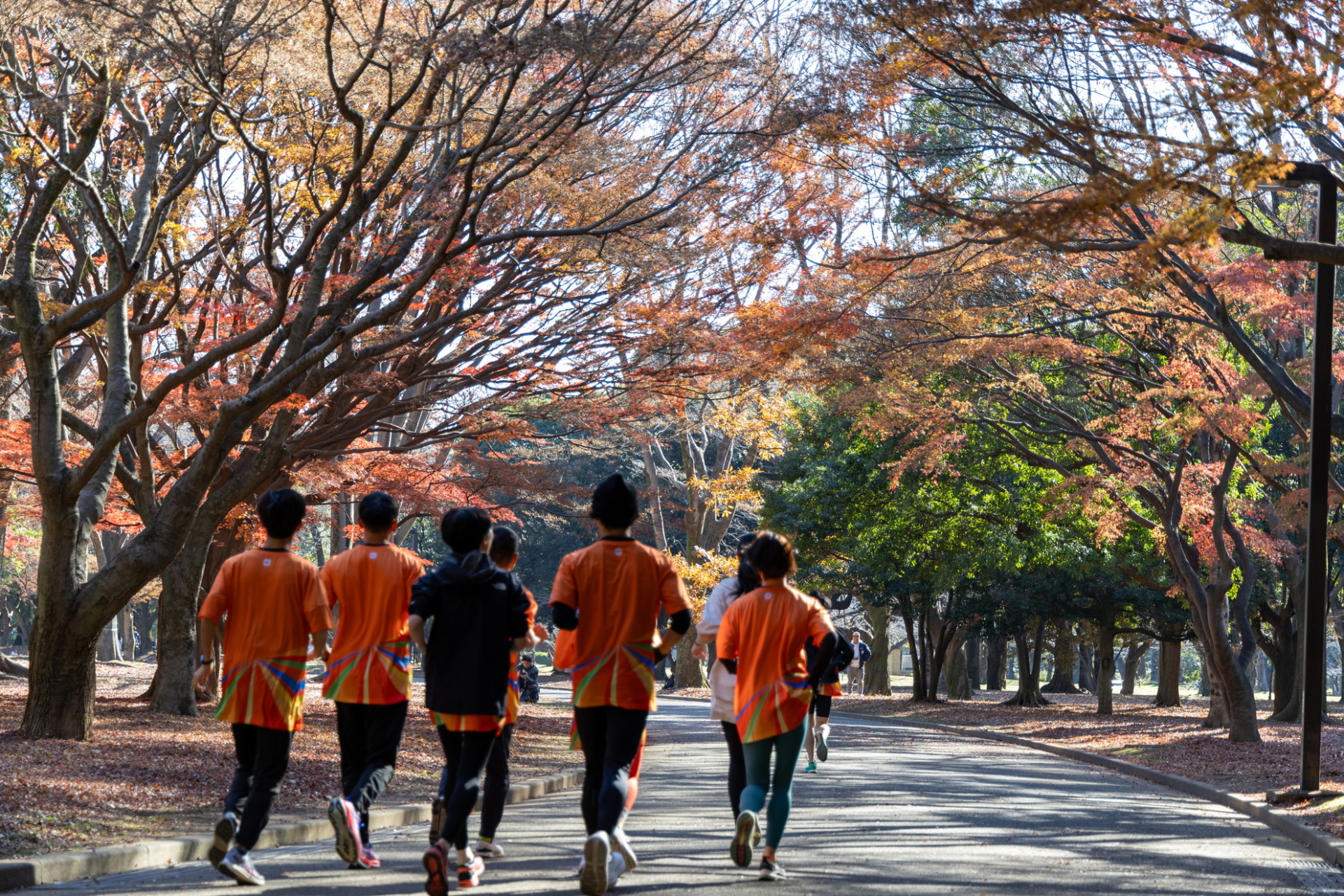紅葉の中をランニング