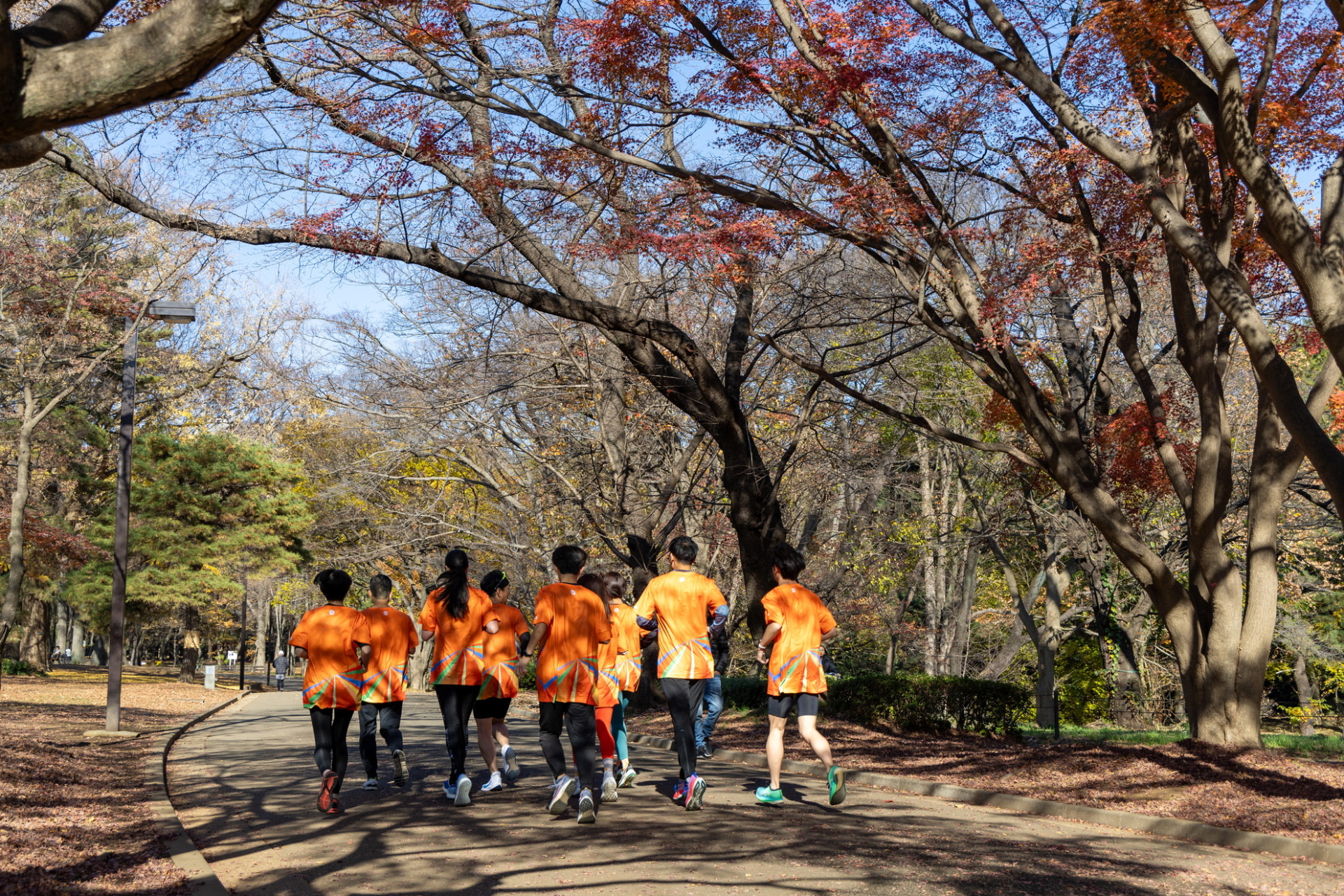 紅葉の中をランニング