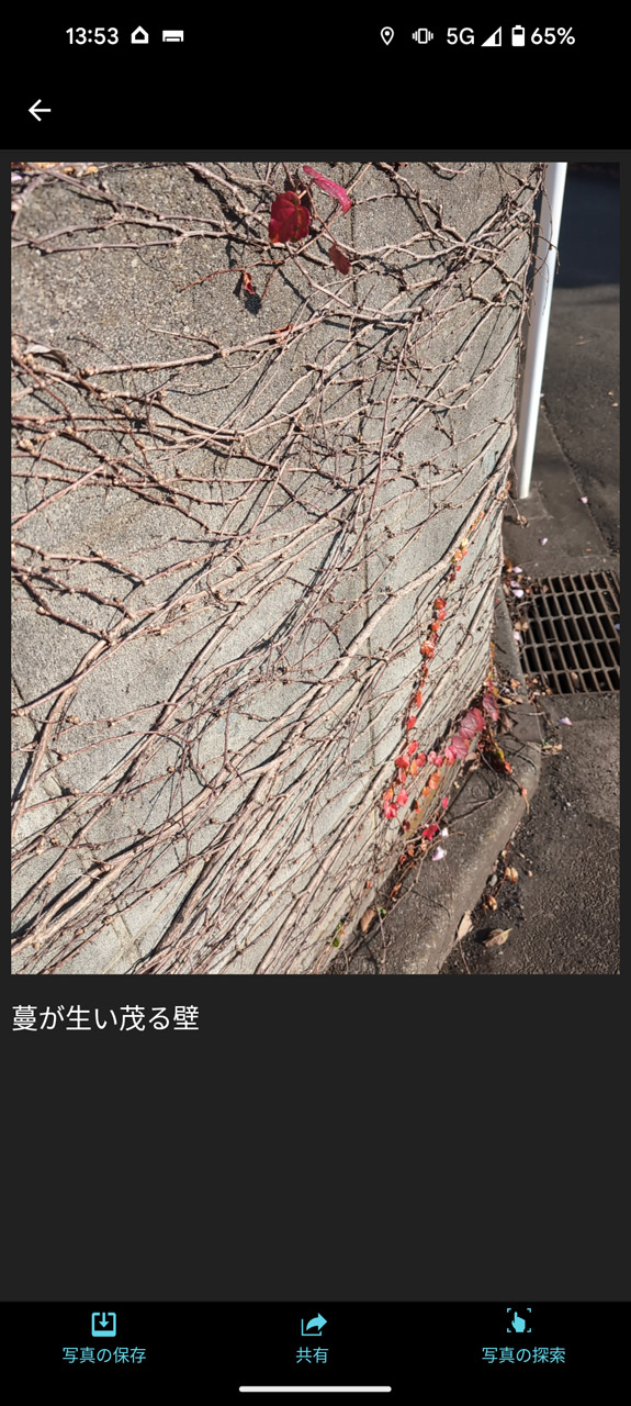 「蔓の生い茂る壁」とわかりやすく説明