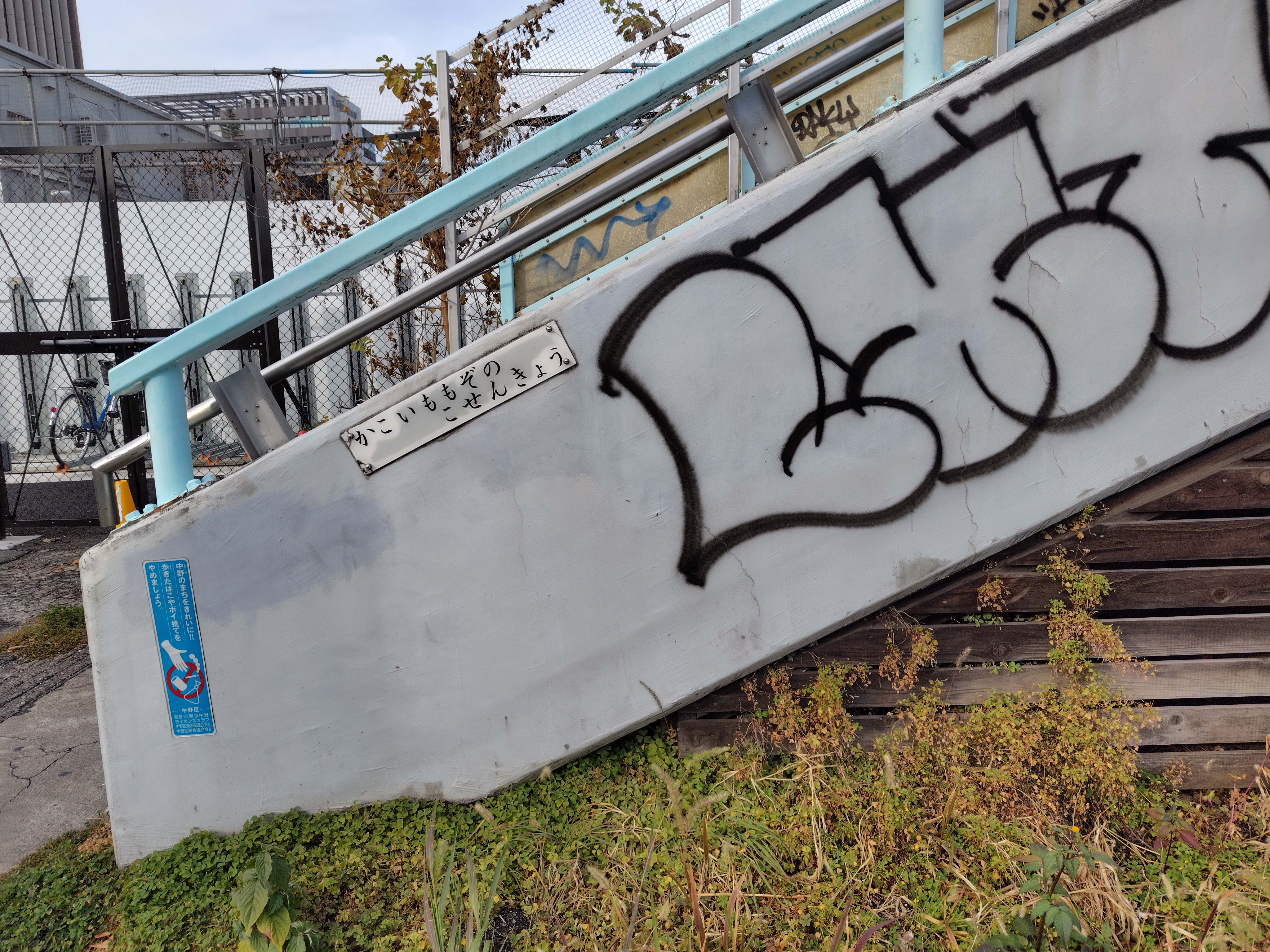 AIによる被写体認識、全画素位相差AFなどを地味なボディにしっかりと搭載した「AQUOS sense8」はスナップに好適だと感じた。「すばやく起動」がとてもいい