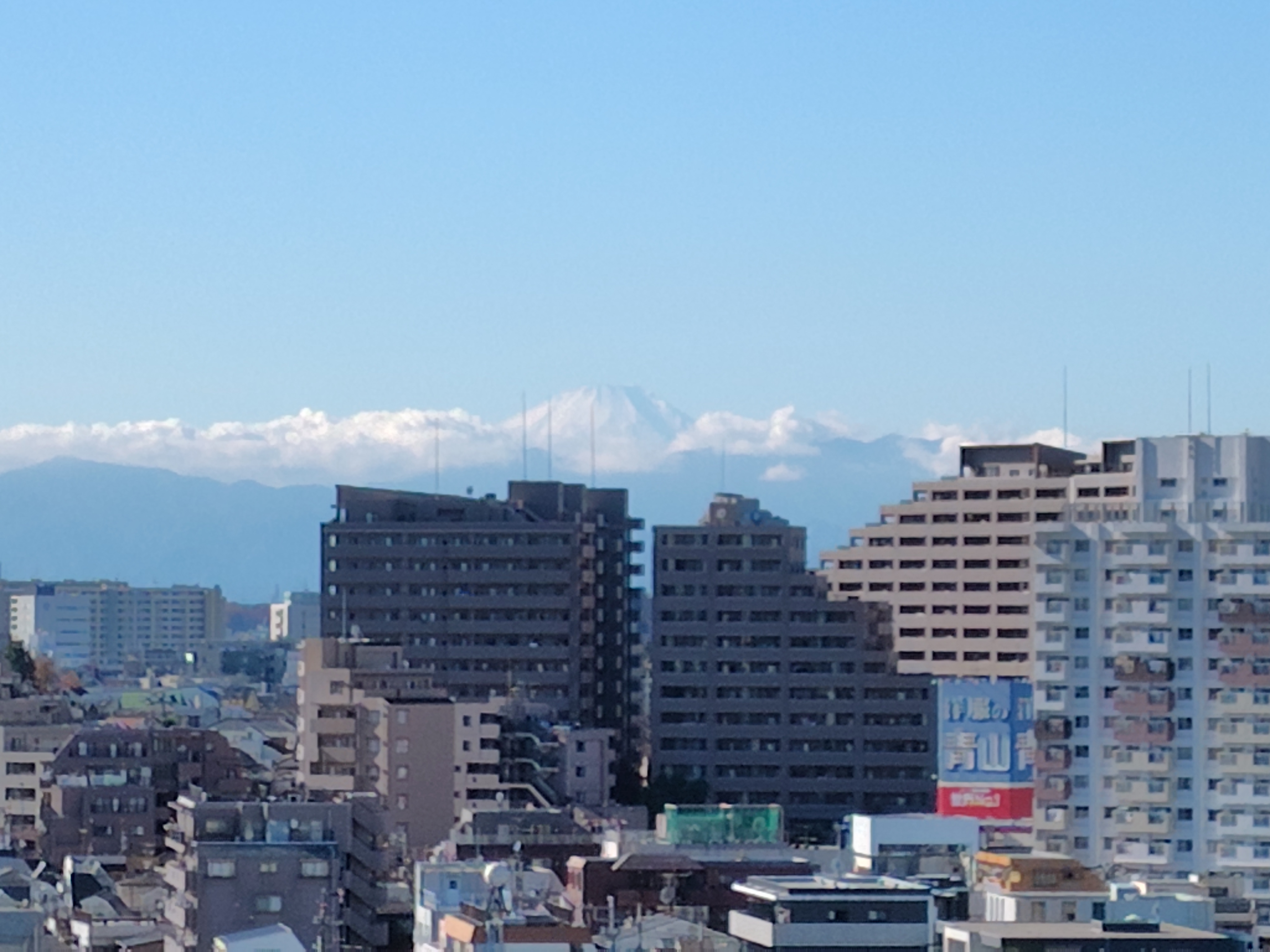 デジタルズーム（8.0x）