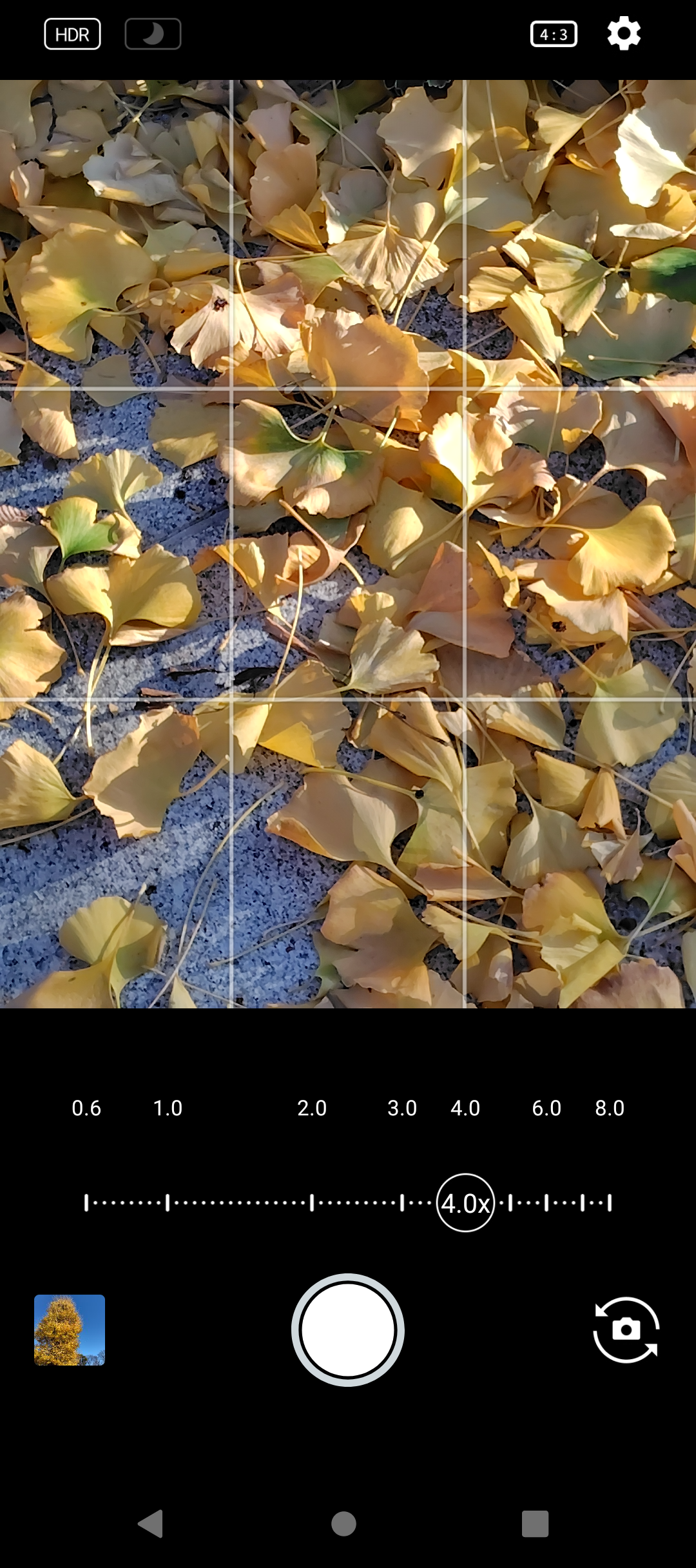 メインカメラの写りは良好だ。4倍までのデジタルズームはディテール感もあり頼もしい。広角カメラは大型センサー搭載のメインカメラと比較してしまうとまずまずと言うところか。普段使いでは問題のない描写だろう。