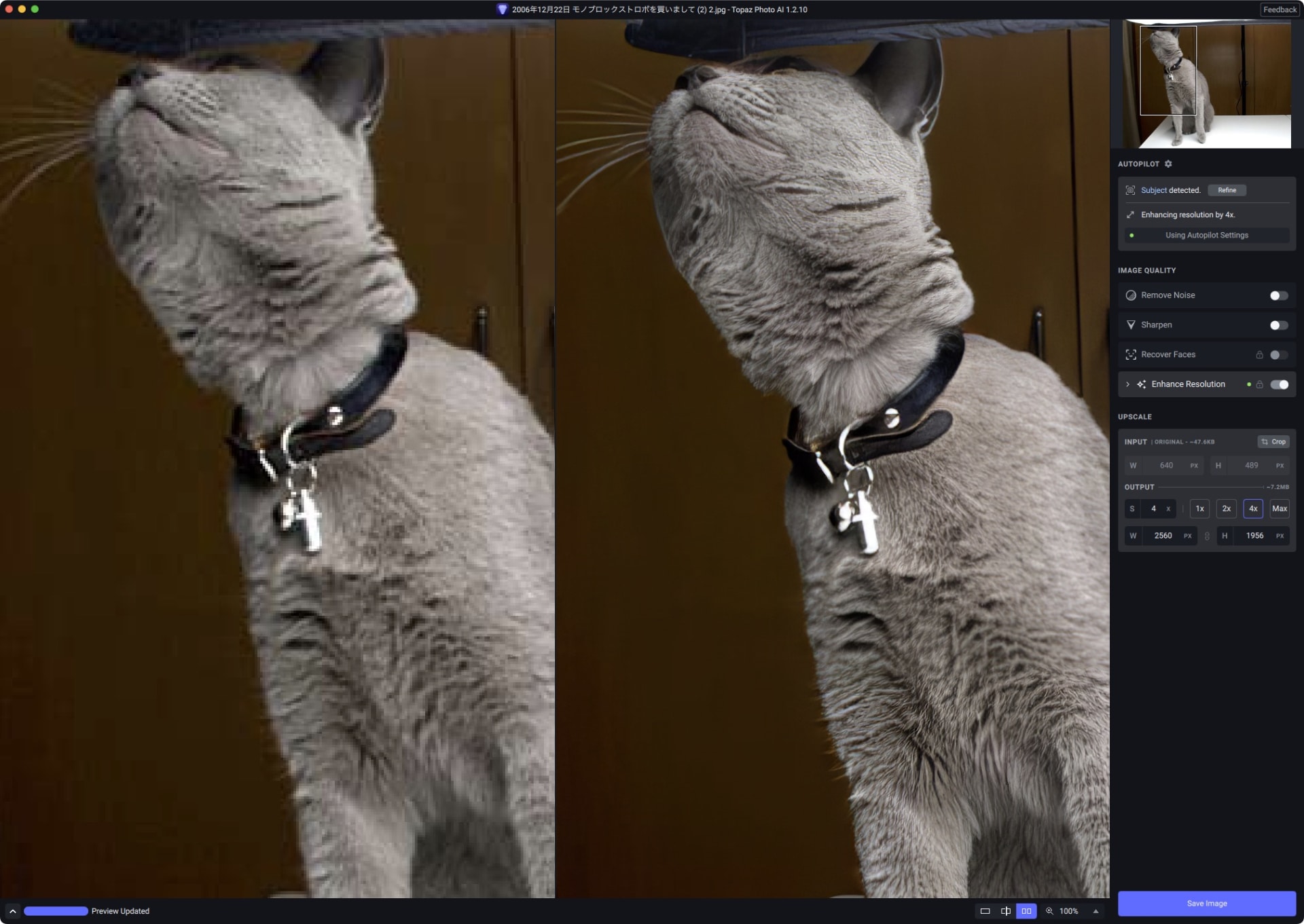 猫も美化＆アップスケール。