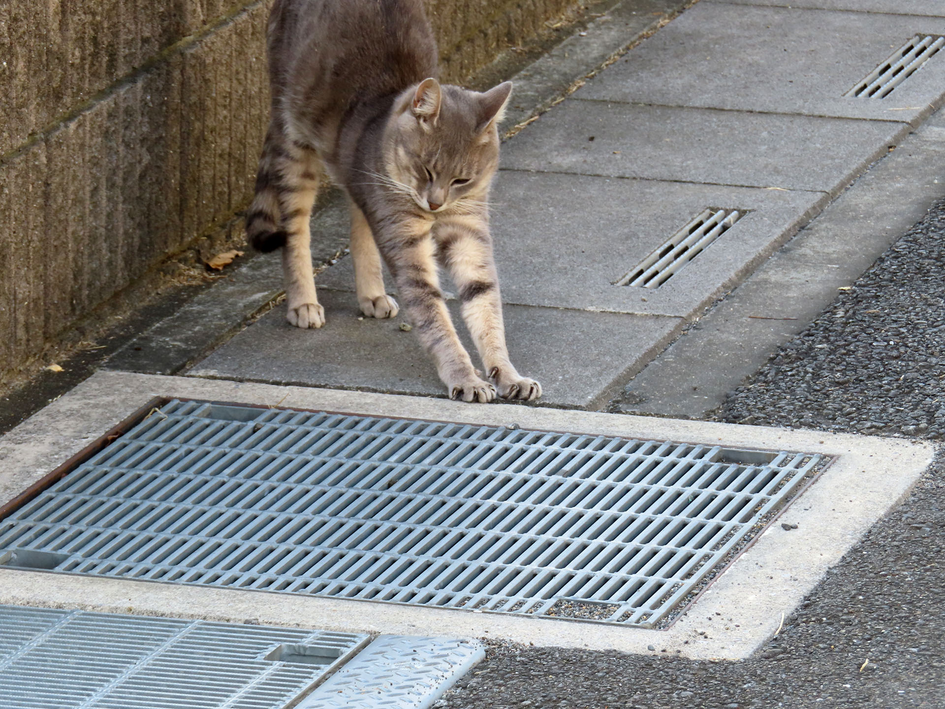 あくびの後の伸び〜！