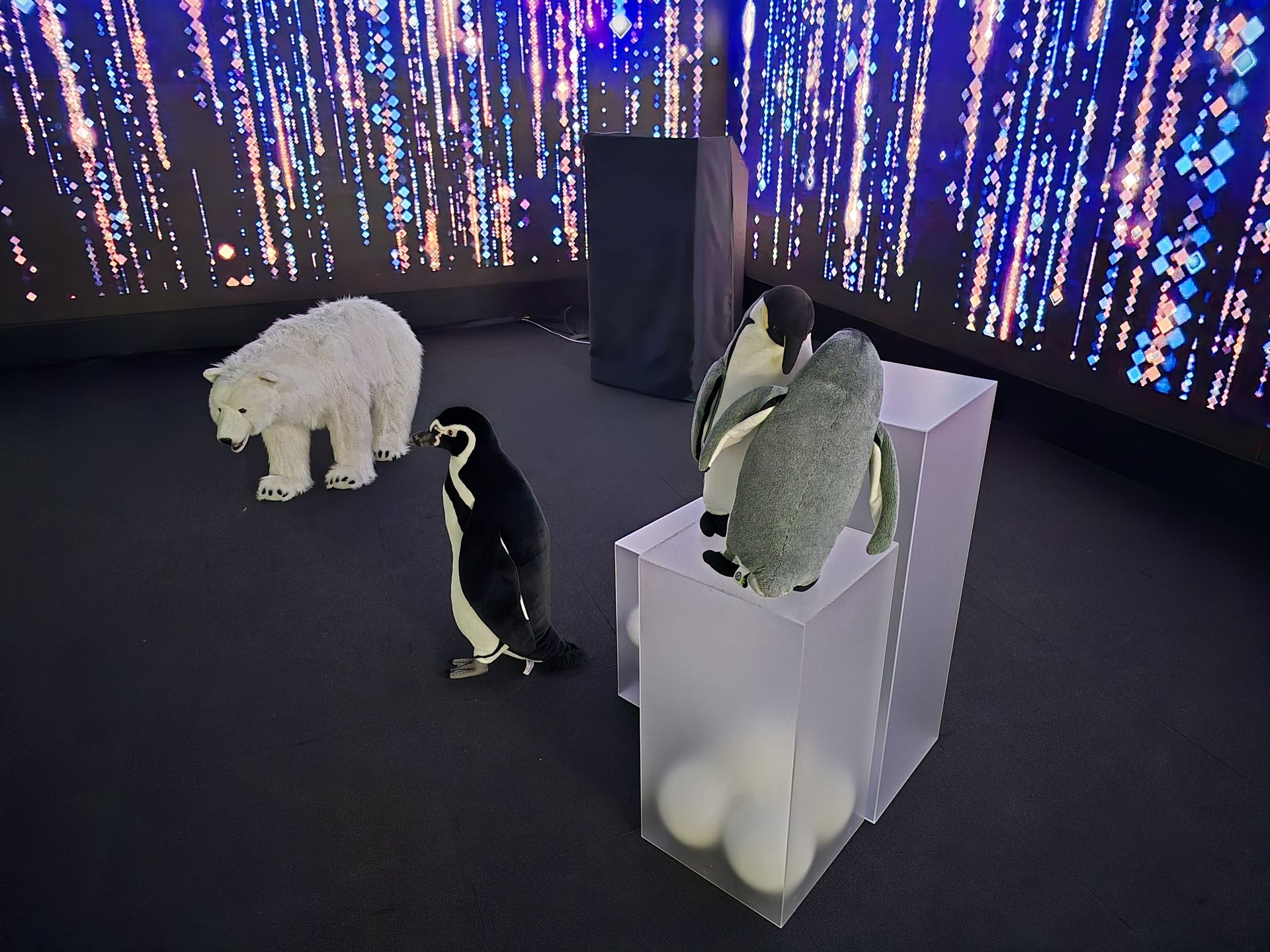 暗所でも鮮明に撮影できる