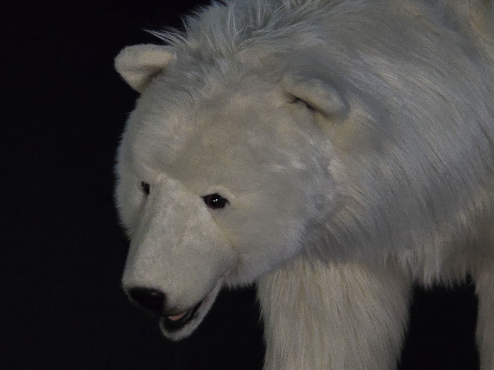 10倍ズームでもディテールに優れた撮影が可能