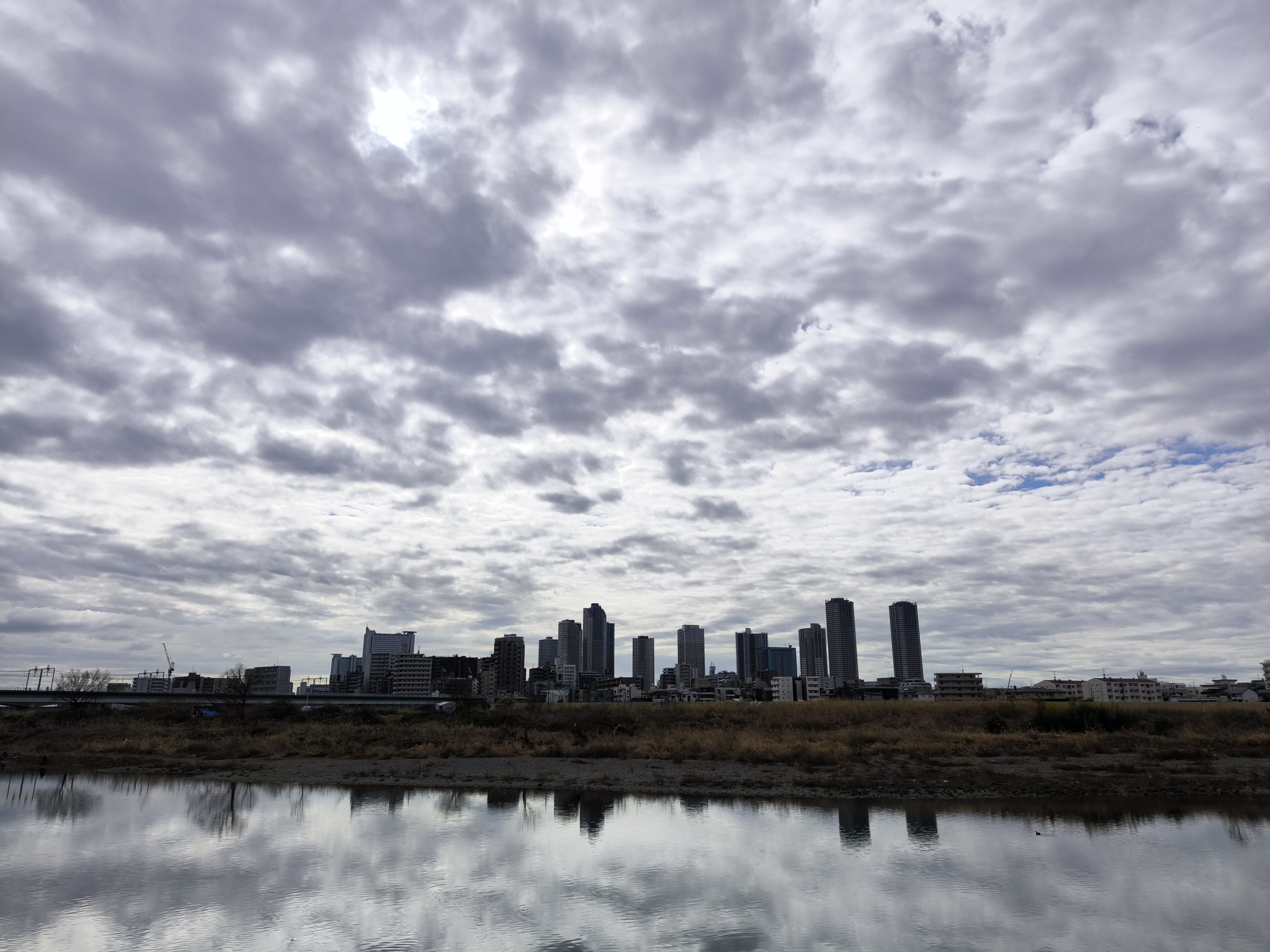 ファイルサイズが巨大になるのと同時に色合いもやや異なるが、高層マンションや川面のディテール、枝振りなど細かい描写はさすが高解像度といった写りだ。大きくプリントしたい、という時は50メガピクセルで撮っておくといいだろう。