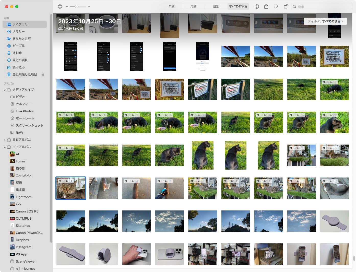 Macの写真アプリのサムネイル表示。iPhoneで撮った写真が表示されており、サムネイル左上に「ポートレート」という文字があれば、その写真の背景ボケ味などを調整できる。