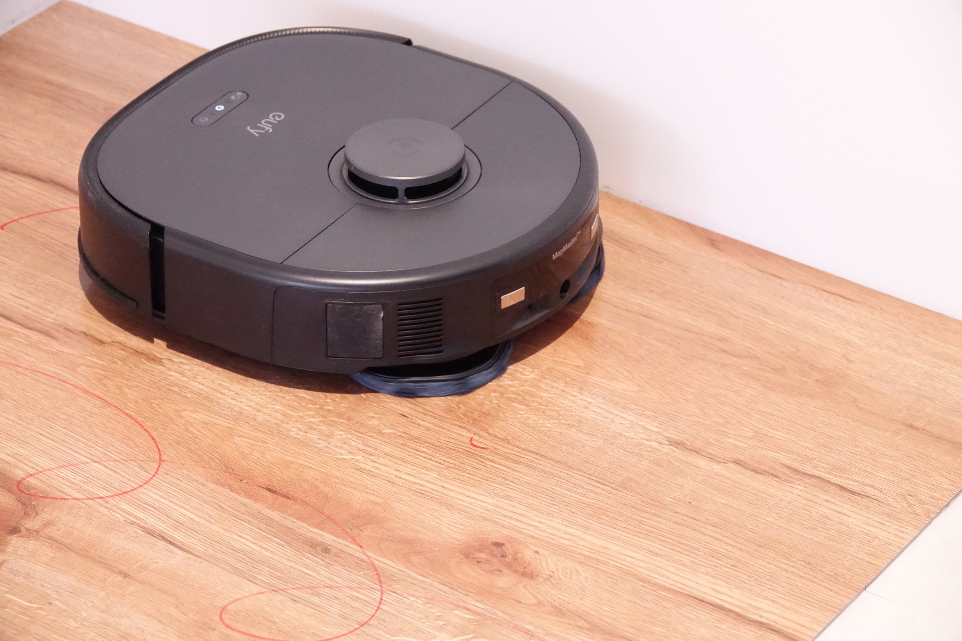 上＝水拭き中の様子。下＝カーペットの髪の毛を掃除中の様子