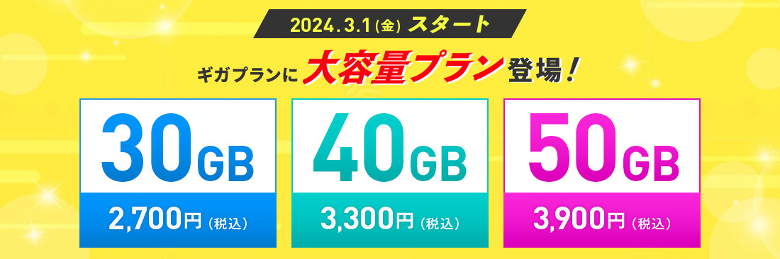ギガプラン大容量の詳細はこちら↑	https://bicsim.com/plan/gigaplan/?large-plan