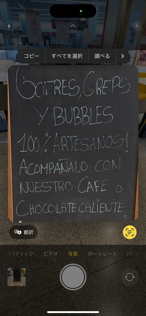 それをタップすると文字が記された部分が切り出されて、左下に「翻訳」と出る