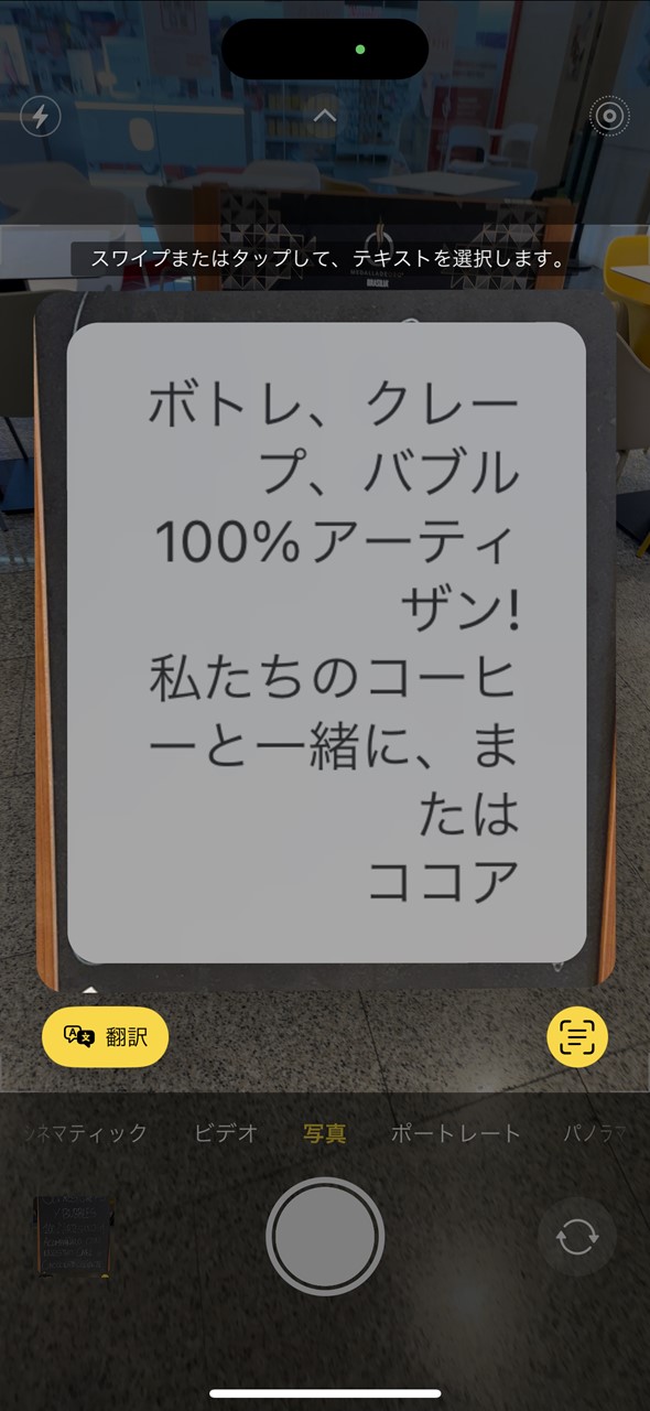 「翻訳」をタップすると、日本語訳が表示される