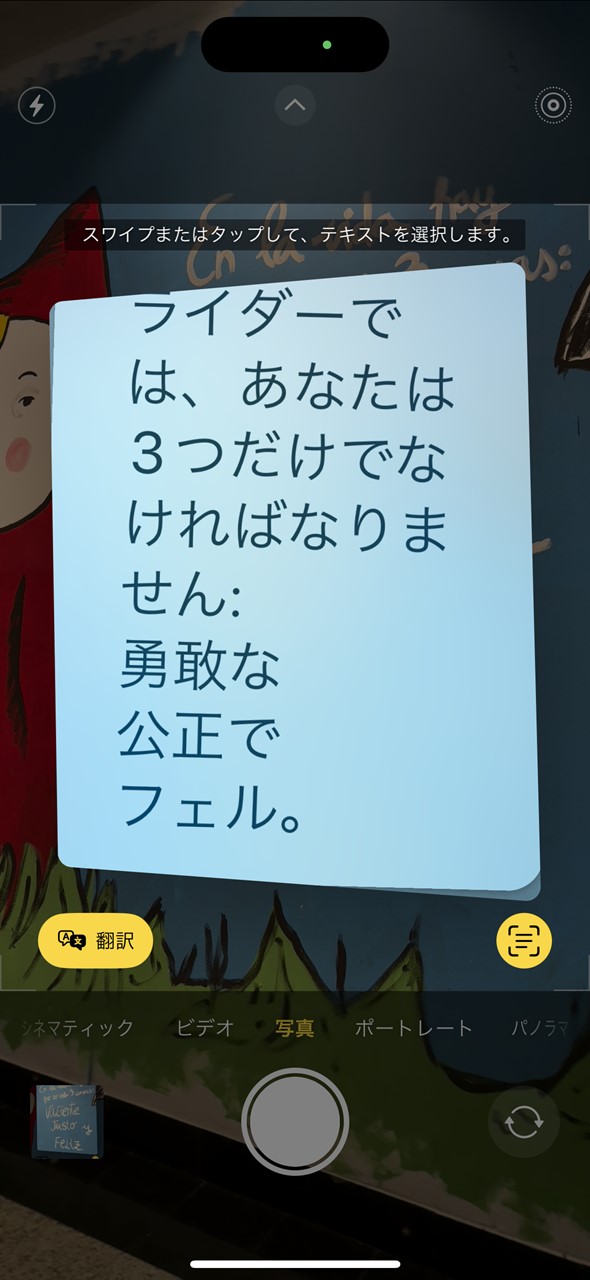 翻訳されても、なお意味がわからないこともあったが……