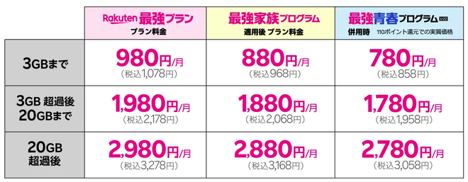 最強青春プログラムと最強家族プログラム適用後の料金