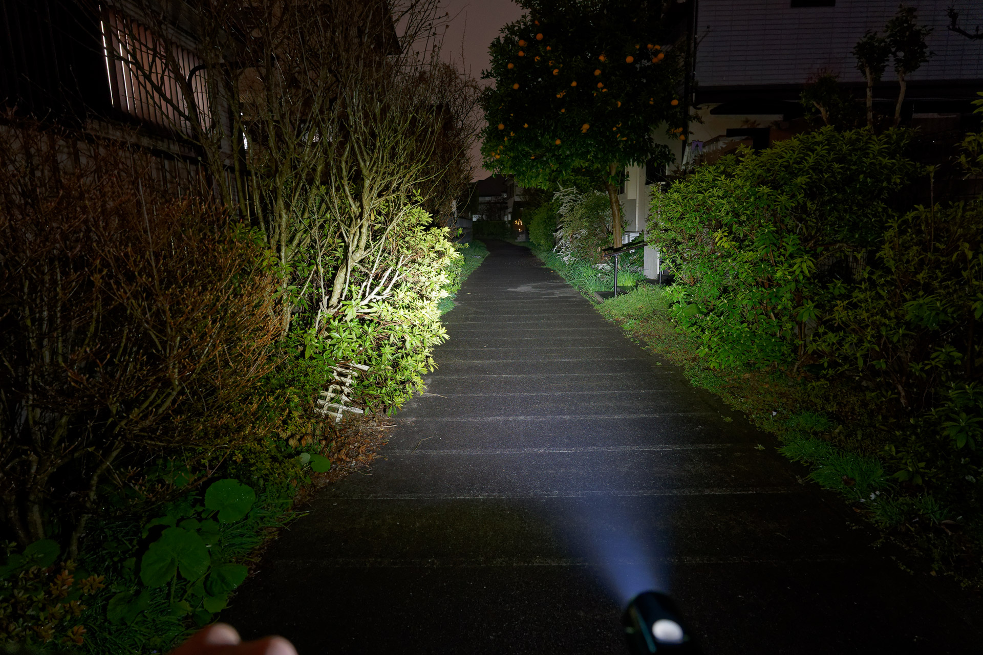 VOLT400 NEO（ハイ）