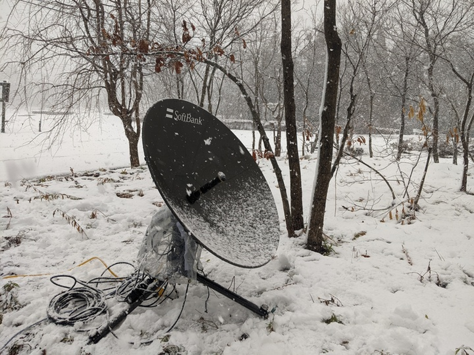 パラボラアンテナにも雪が積もる（ソフトバンク提供）