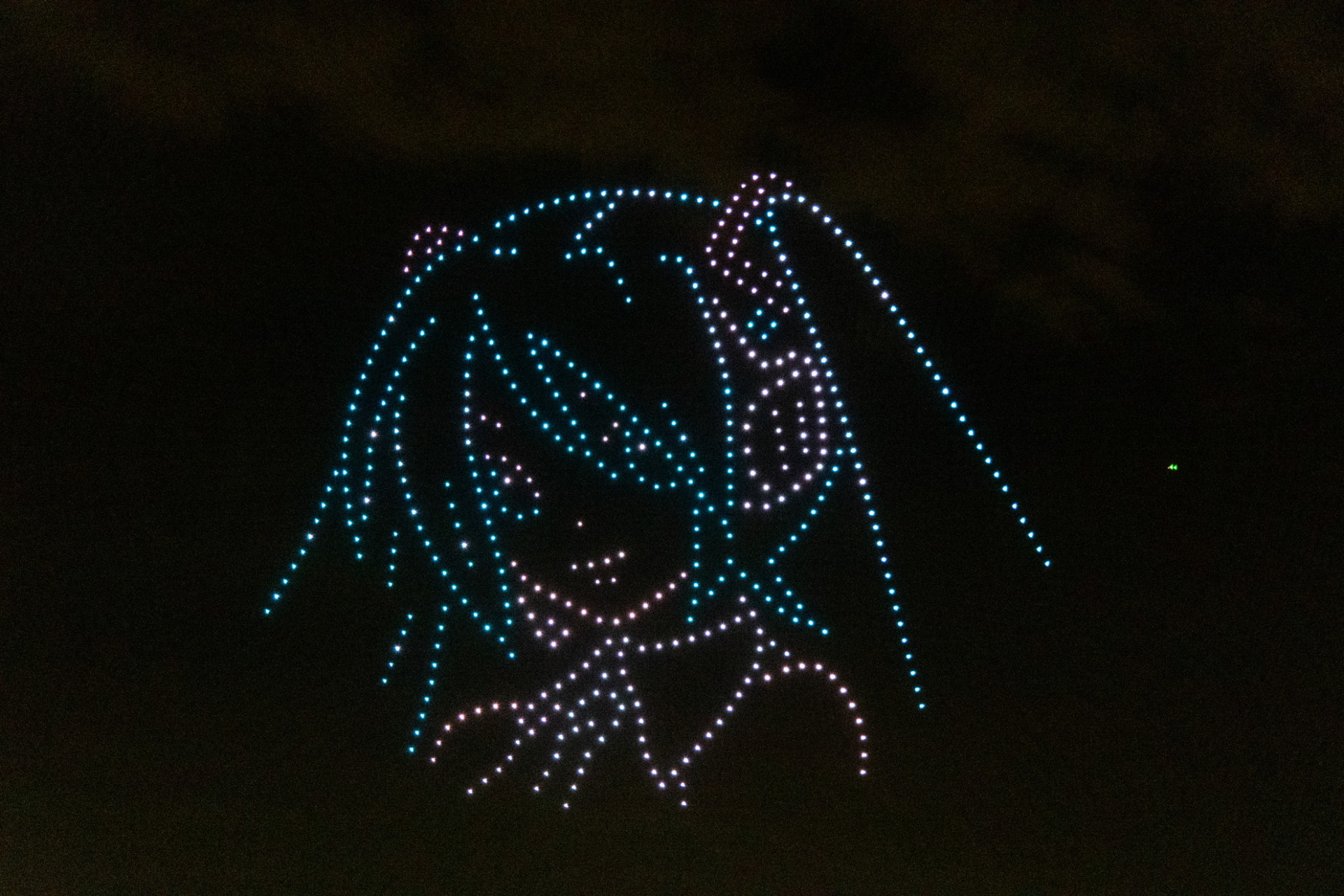夜空いっぱいに表現される様は圧巻