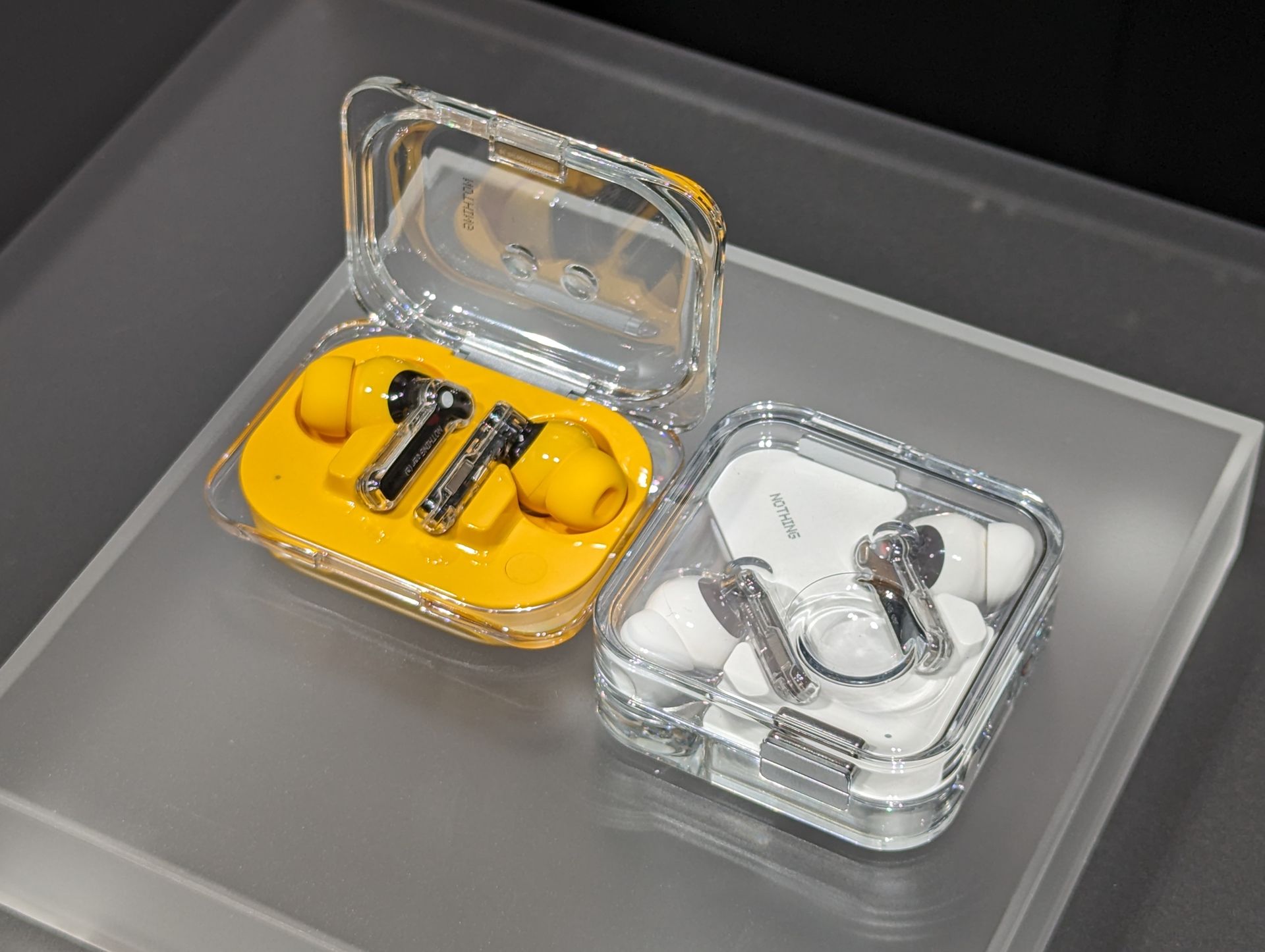 左：Ear (a)、右：Ear