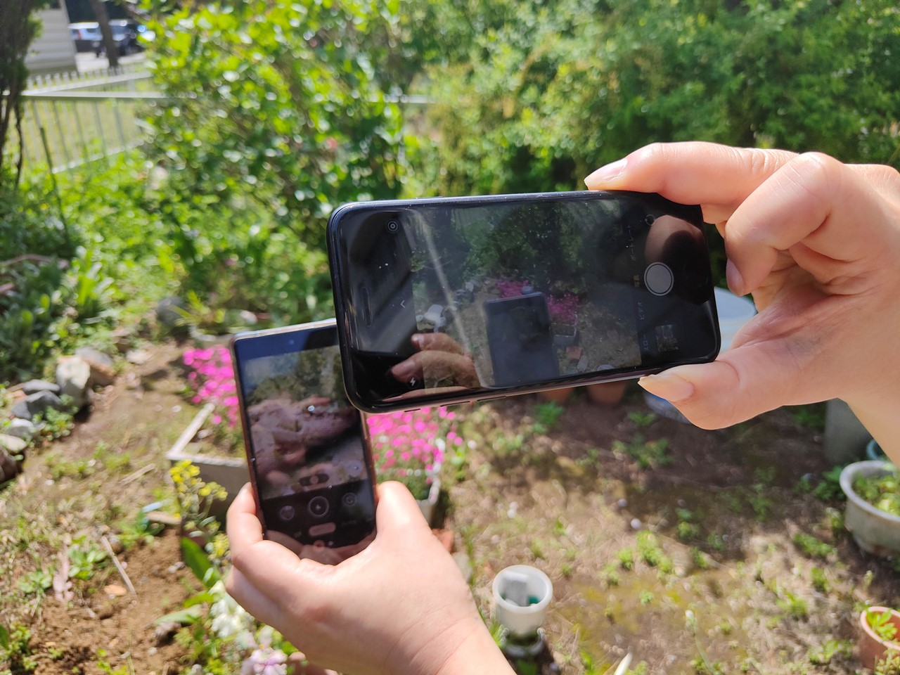 さらにいえば、この写真は……もういいですかそうですか。