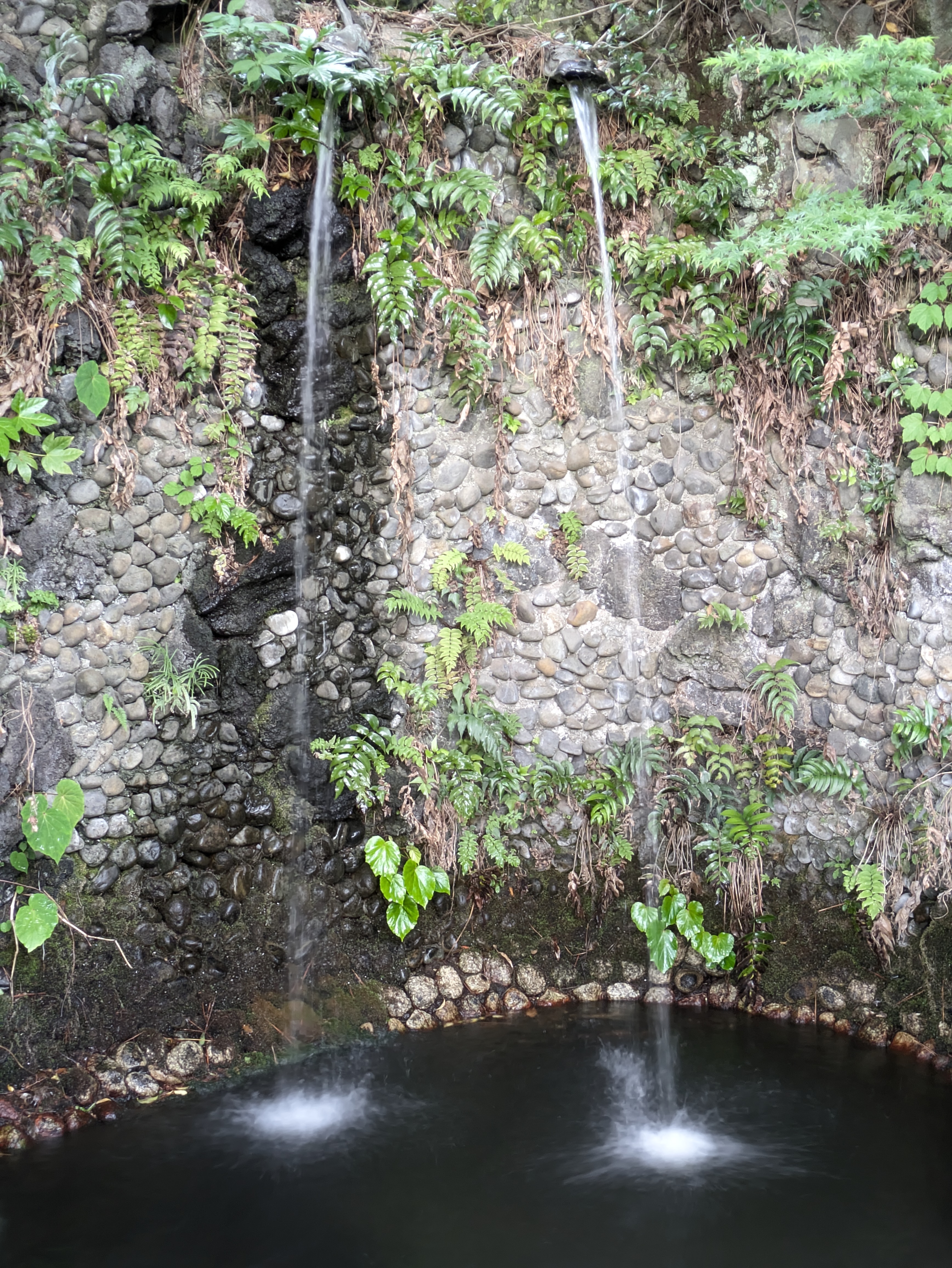 境内にある小さな滝。その水行をする場所で「長時間露光」を試した。手持ちで流れ落ちる水をスローシャッターで写したかのようにキャプチャーできた。