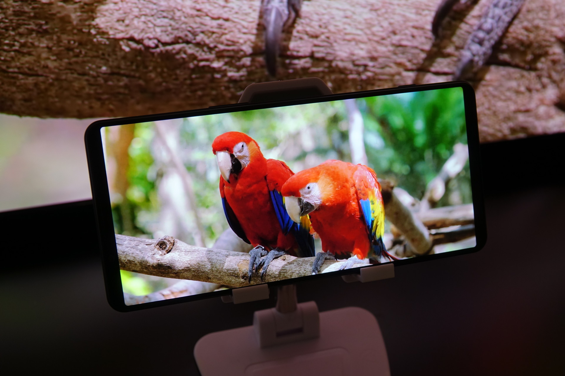 左＝Xperia 1 VI。右＝Xperia 1 V