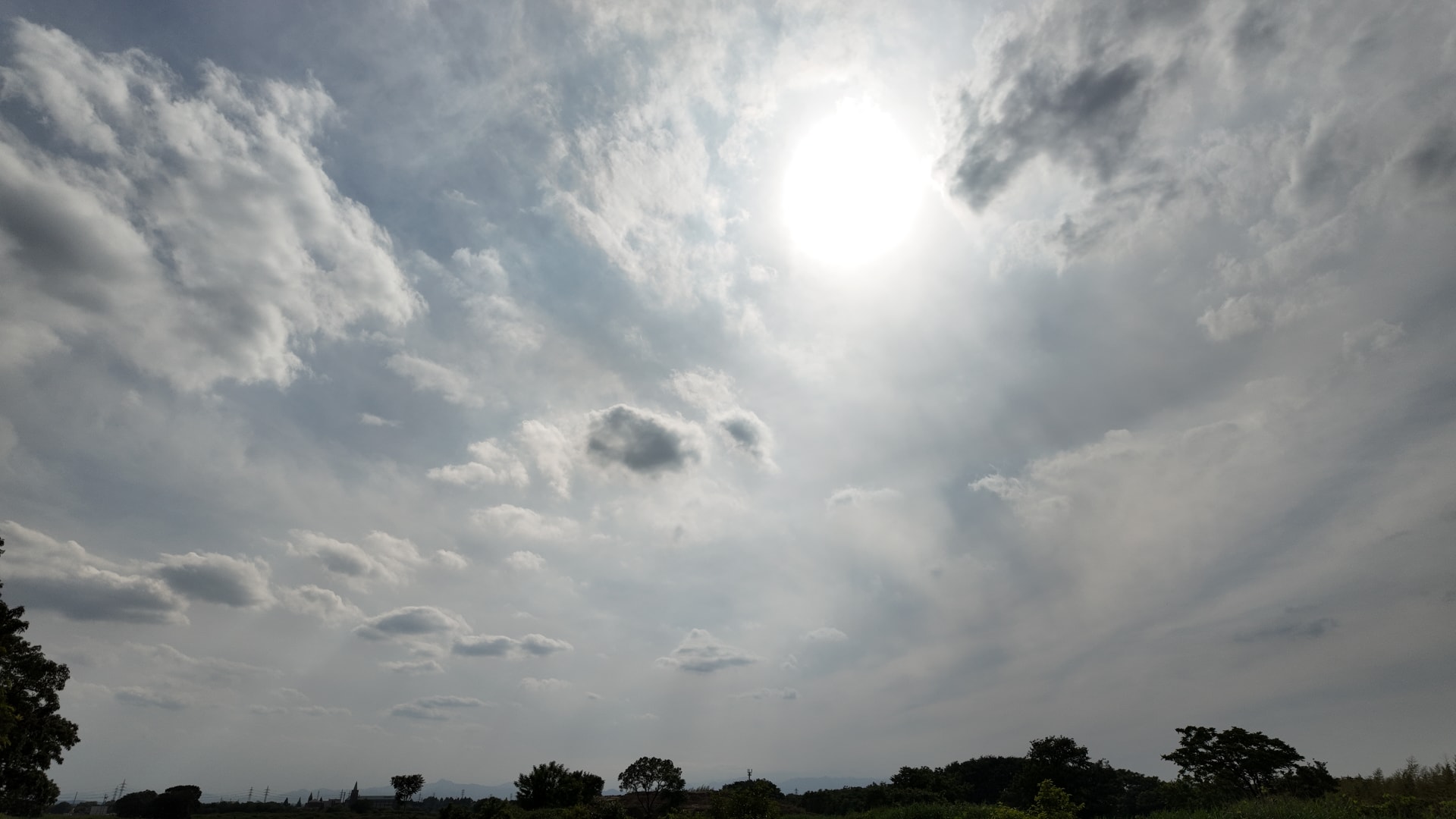 明暗階調もそこそこ良好。