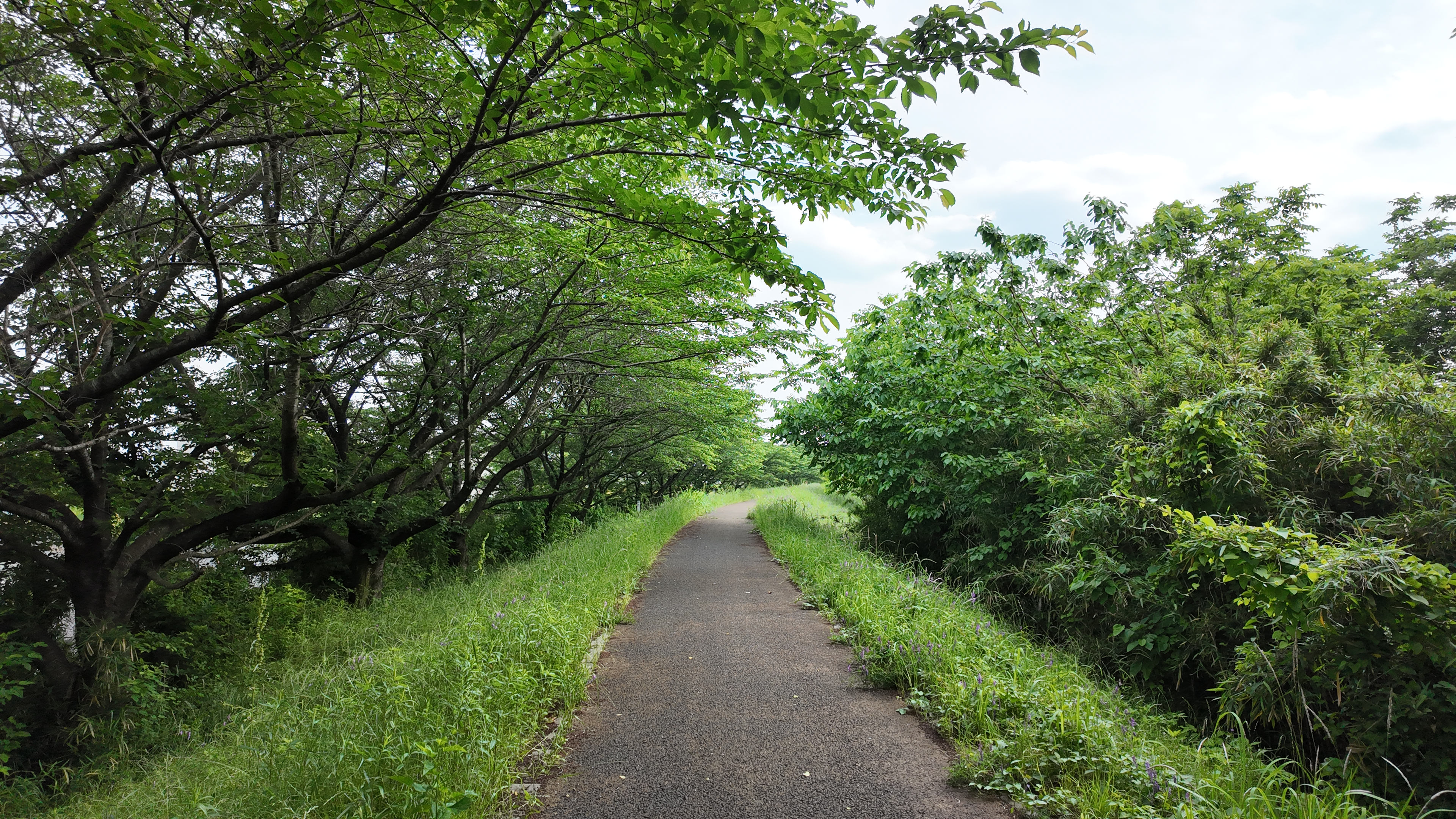 走った場所を静止画で撮影。