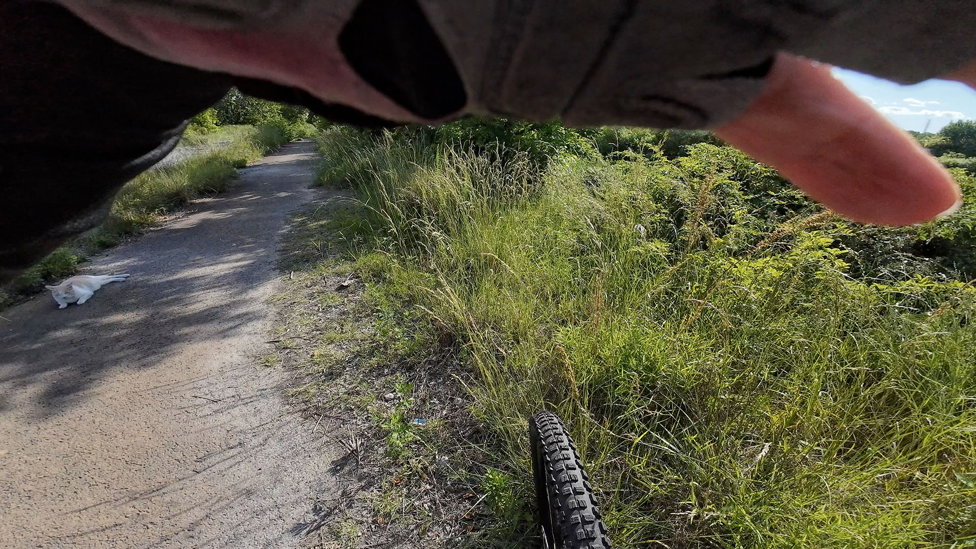 左手でOsmo Action 4を押さえて、右手でクリップ部をつまんで外している。