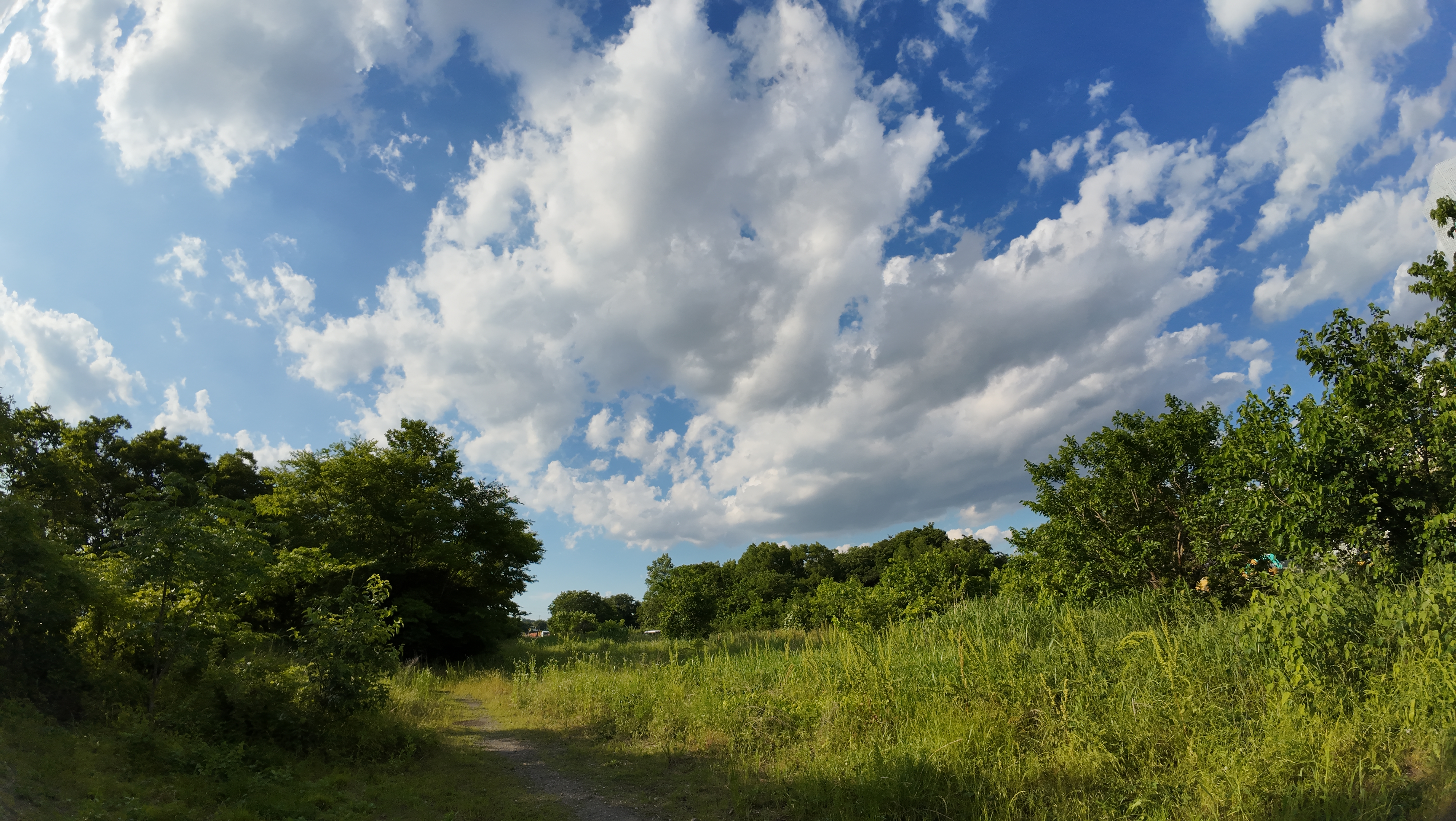 Osmo Action 4で撮った静止画（4000×2256ピクセル/トリミングやレタッチ処理なし/以下同様）。動画もそうだったが、静止画も「盛りすぎない発色」という印象になった。