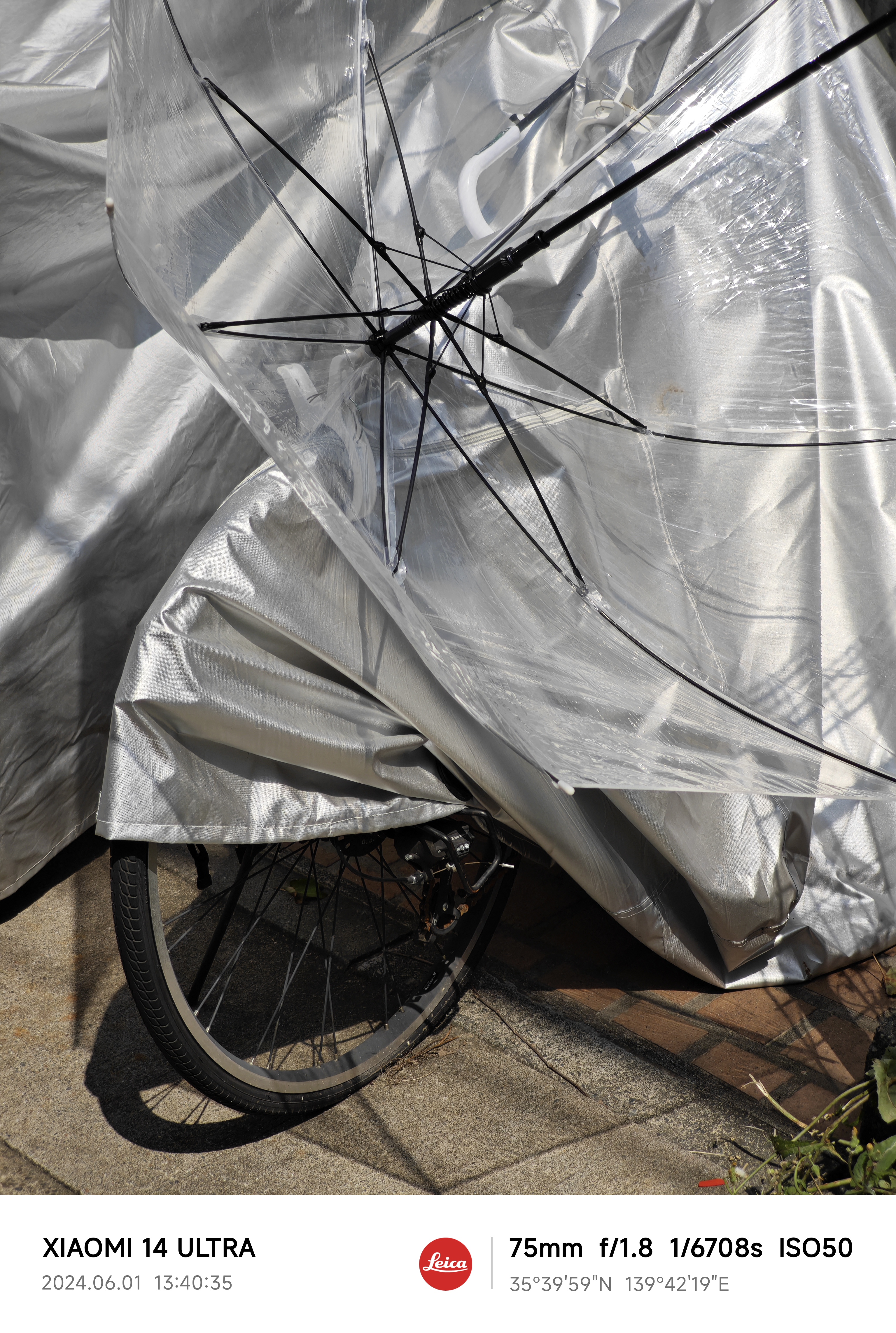 カバーと傘と自転車。その生々しい質感が実にいい