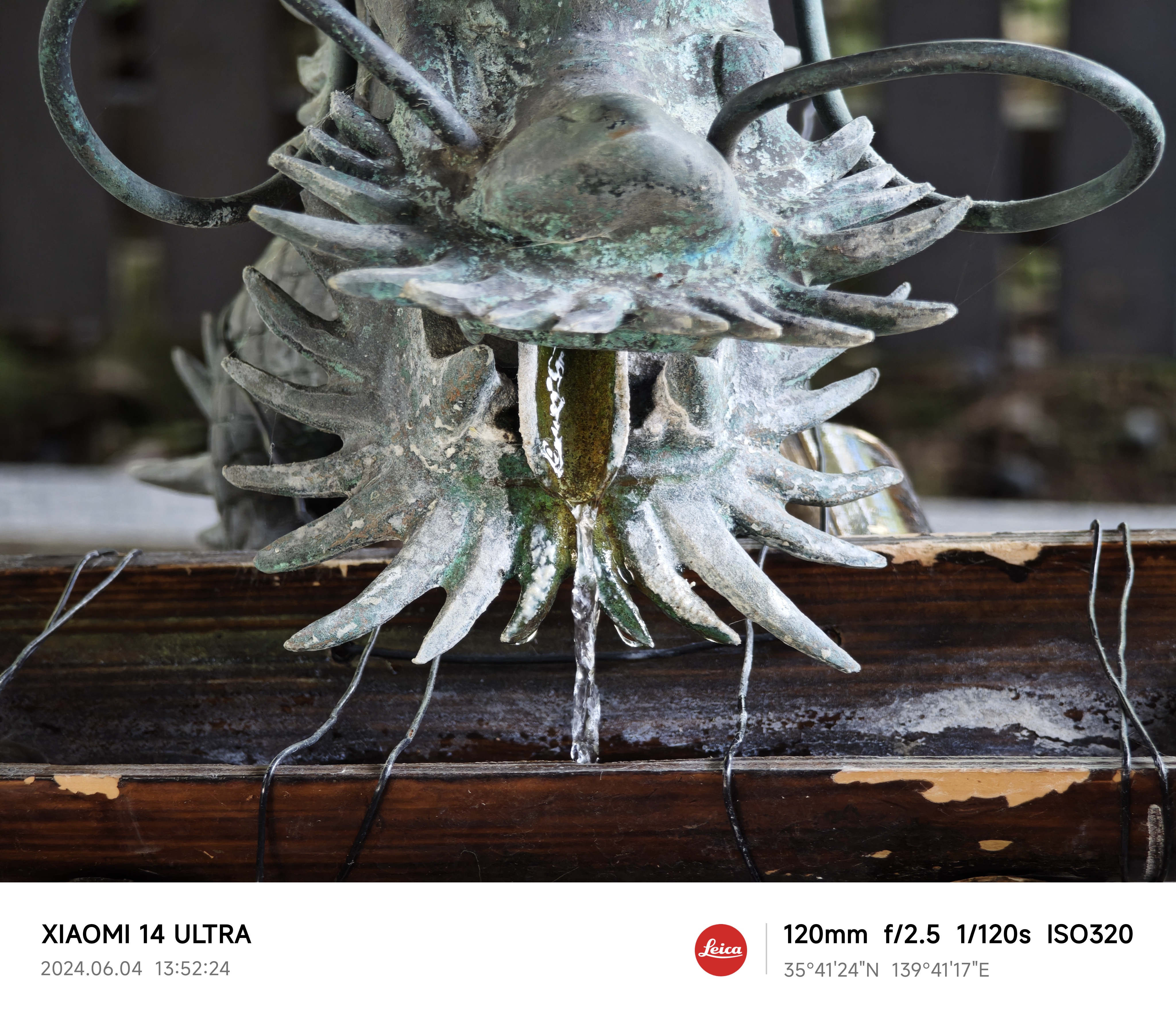 手水舎を撮ったが、滴る水と龍の描写が美しい