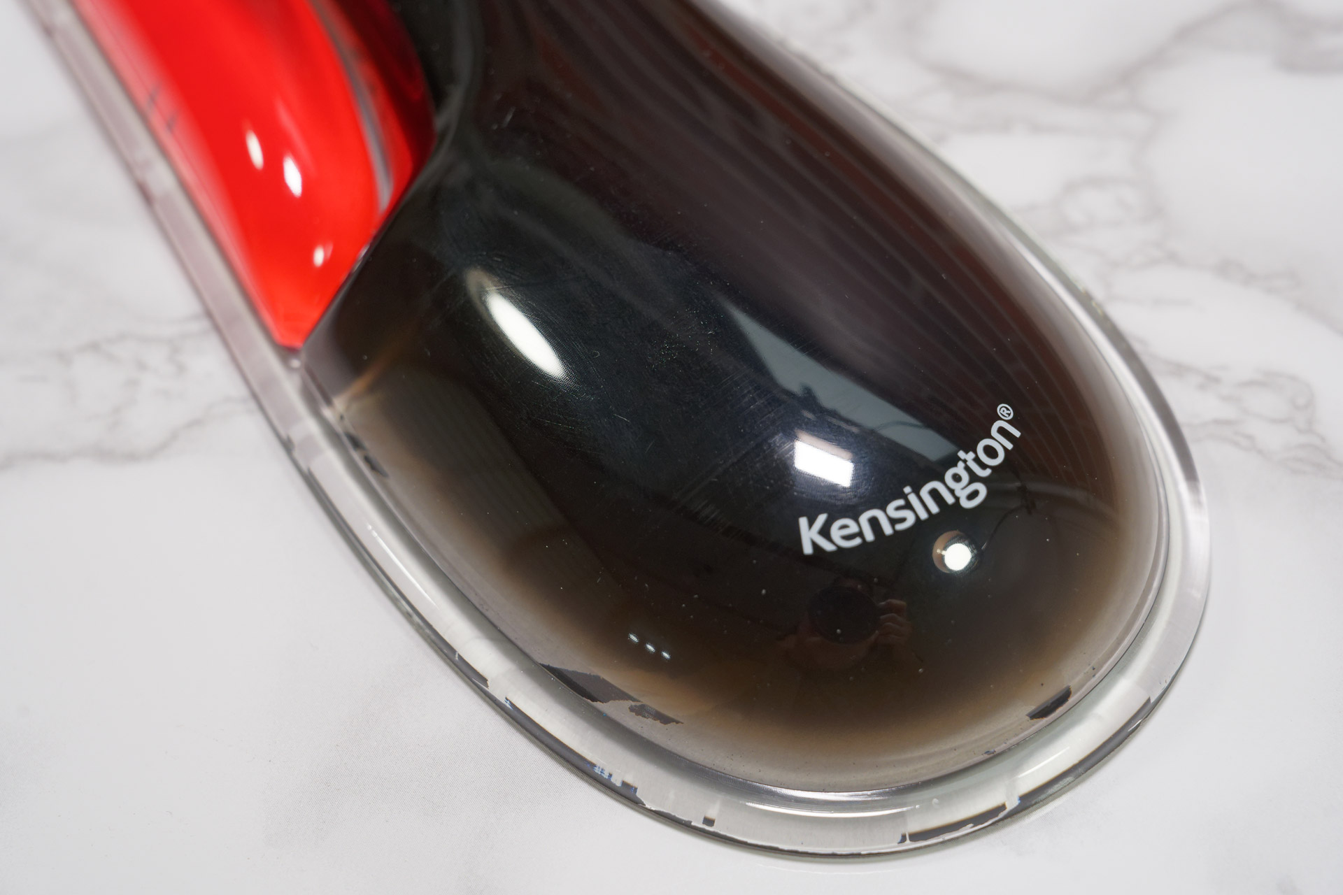 黒い方は、切り刻んでも分裂して生き続けるプラナリアを感じさせなくもない