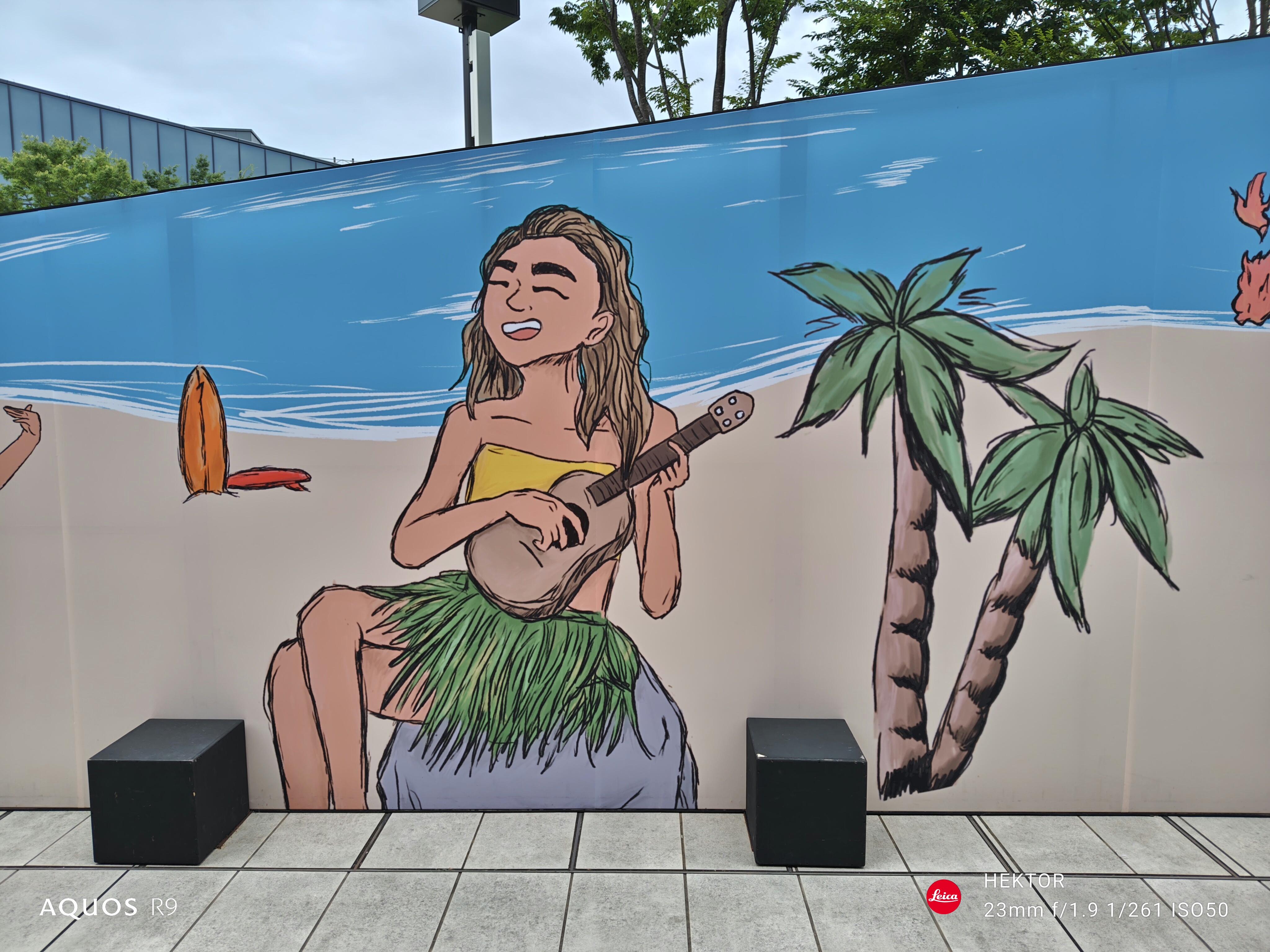 壁に書かれていた絵を撮ったが、梅雨の曇天下での色合いとシャープネスがいい感じになった