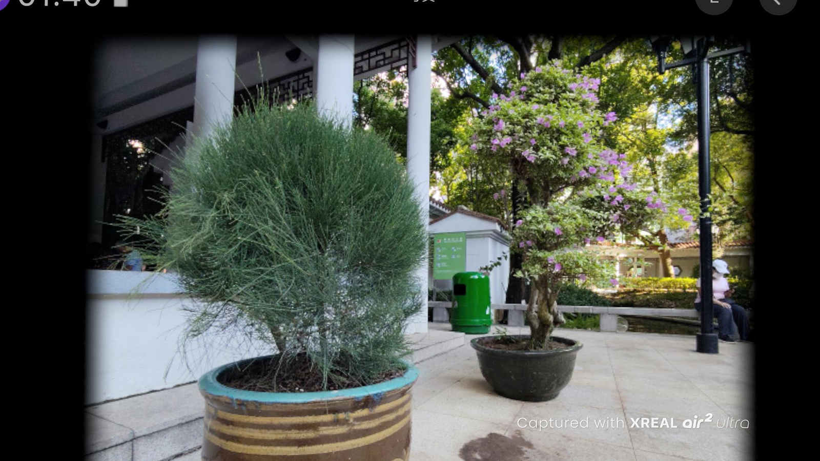 この写真ではわからないが、前後の樹木が背景からしっかり浮かび上がって表示される