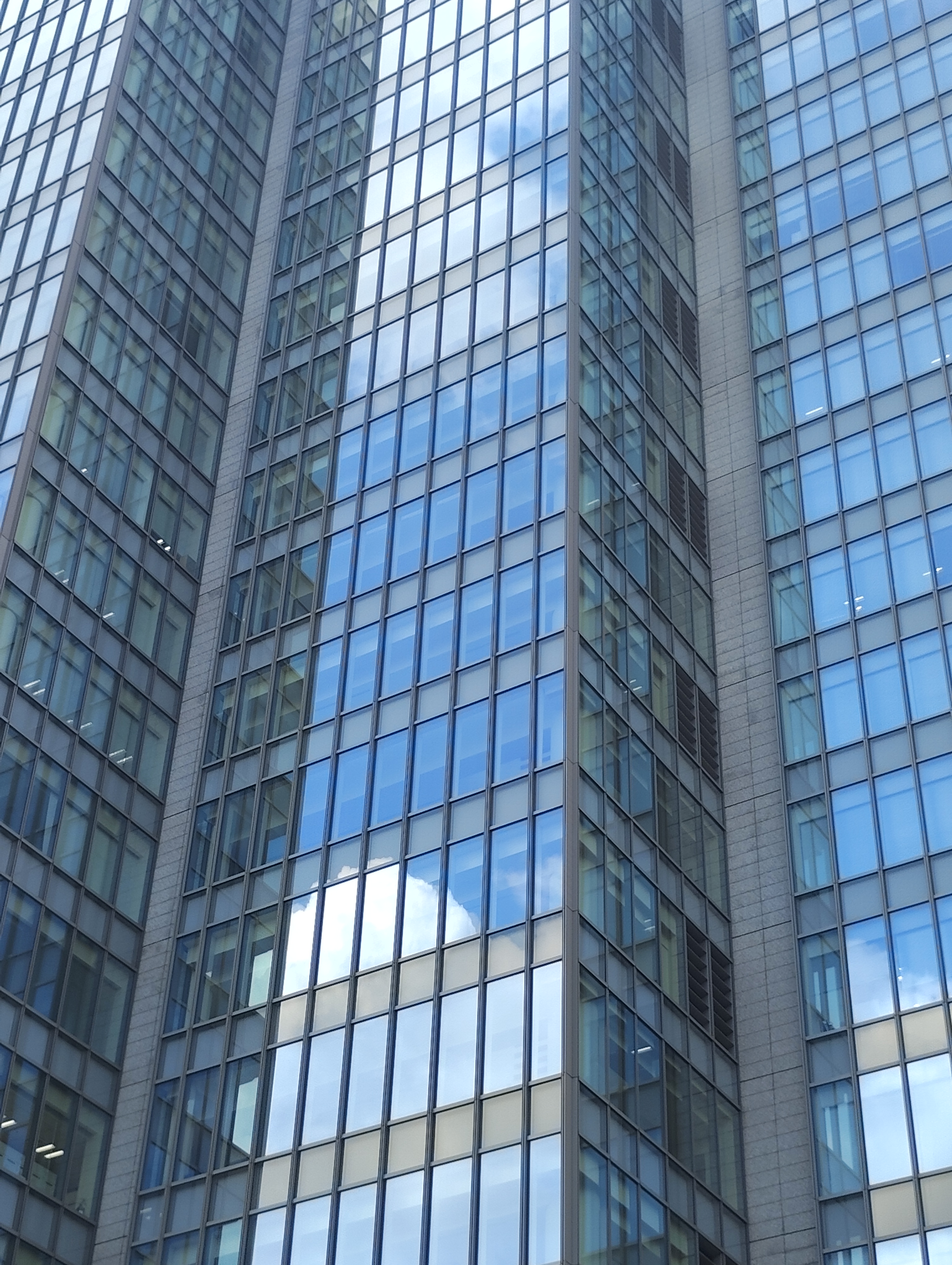 広角カメラ（×2）