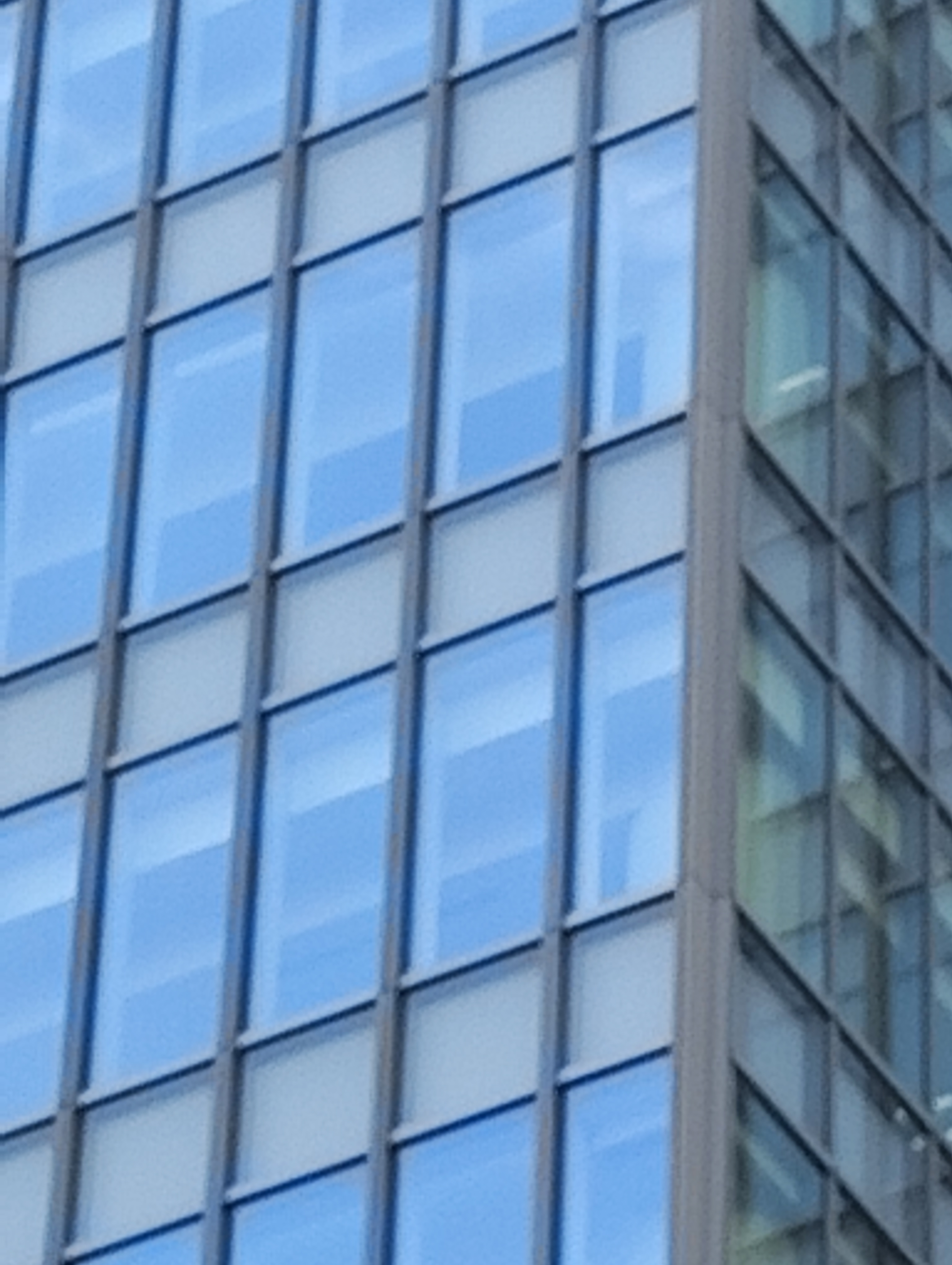 最大倍率（×8）まで拡大