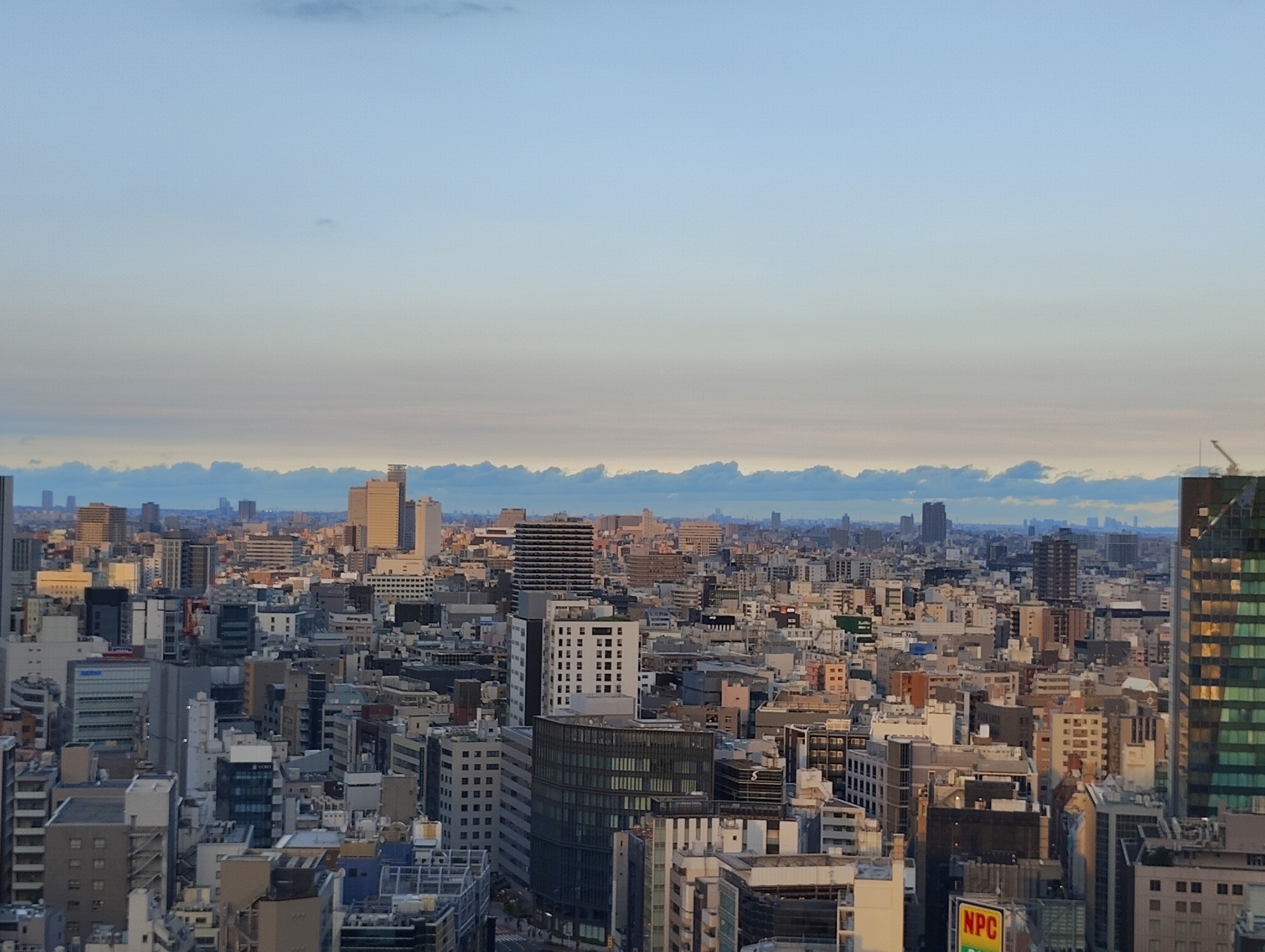 広角カメラ（×2）